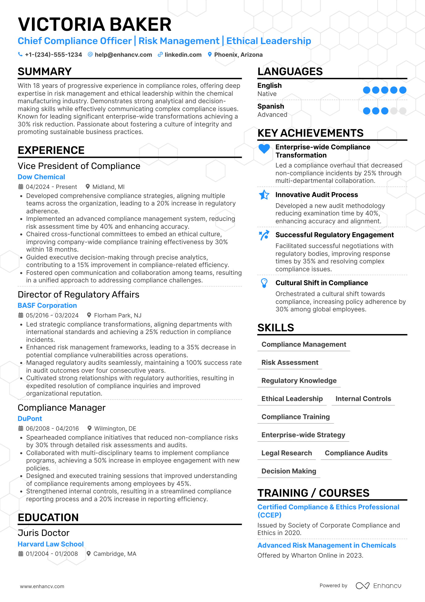 Chief Compliance Officer resume example