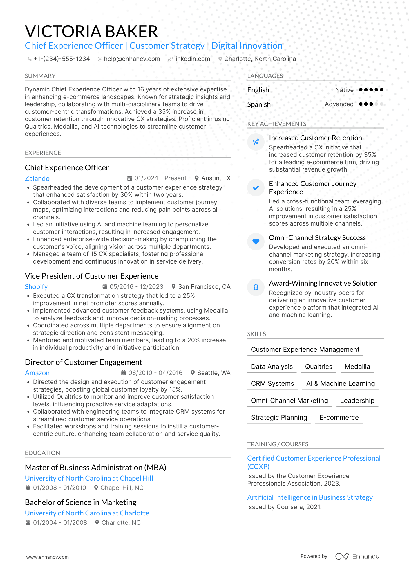 Chief Experience Officer resume example