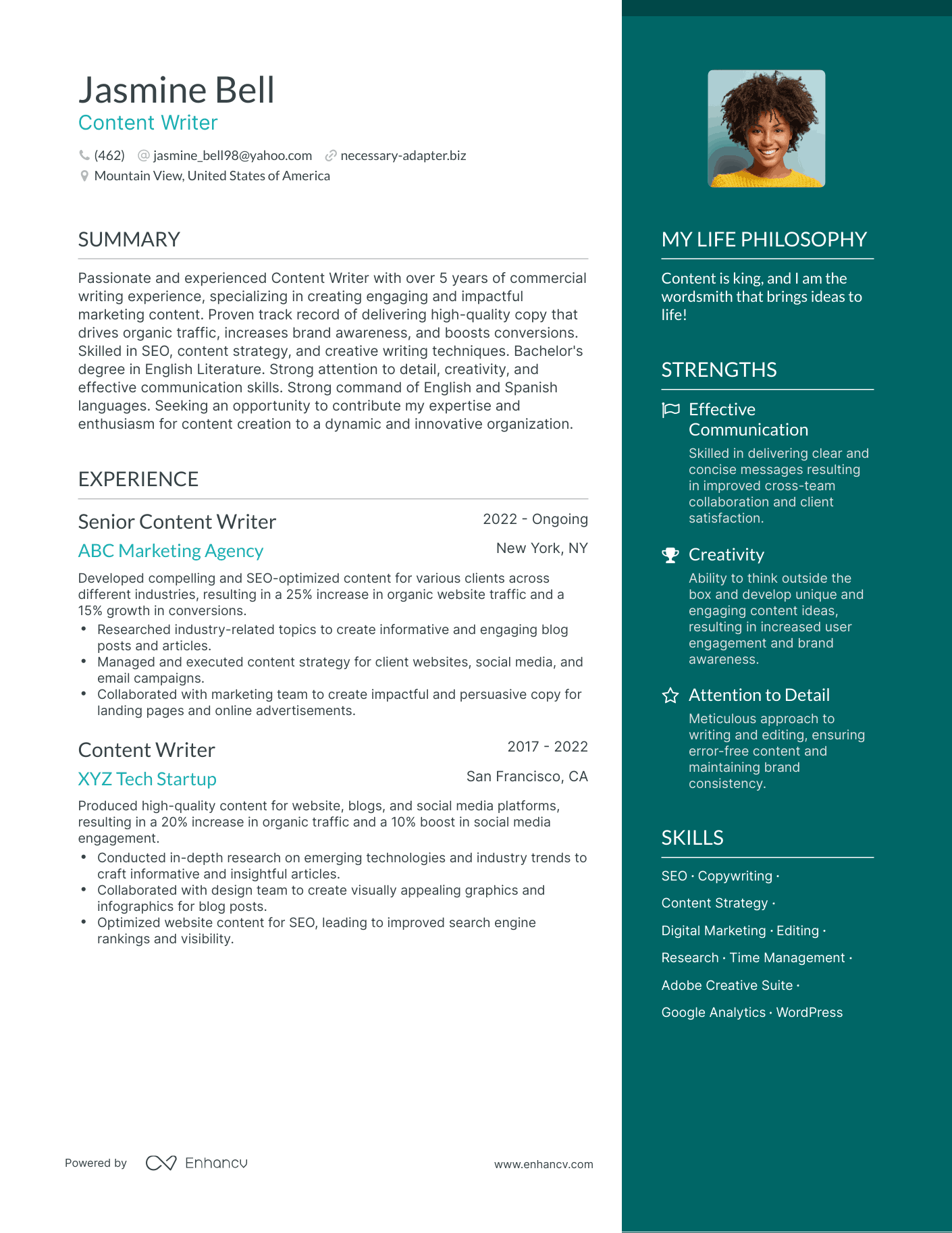 Modern Content Writer Resume Example