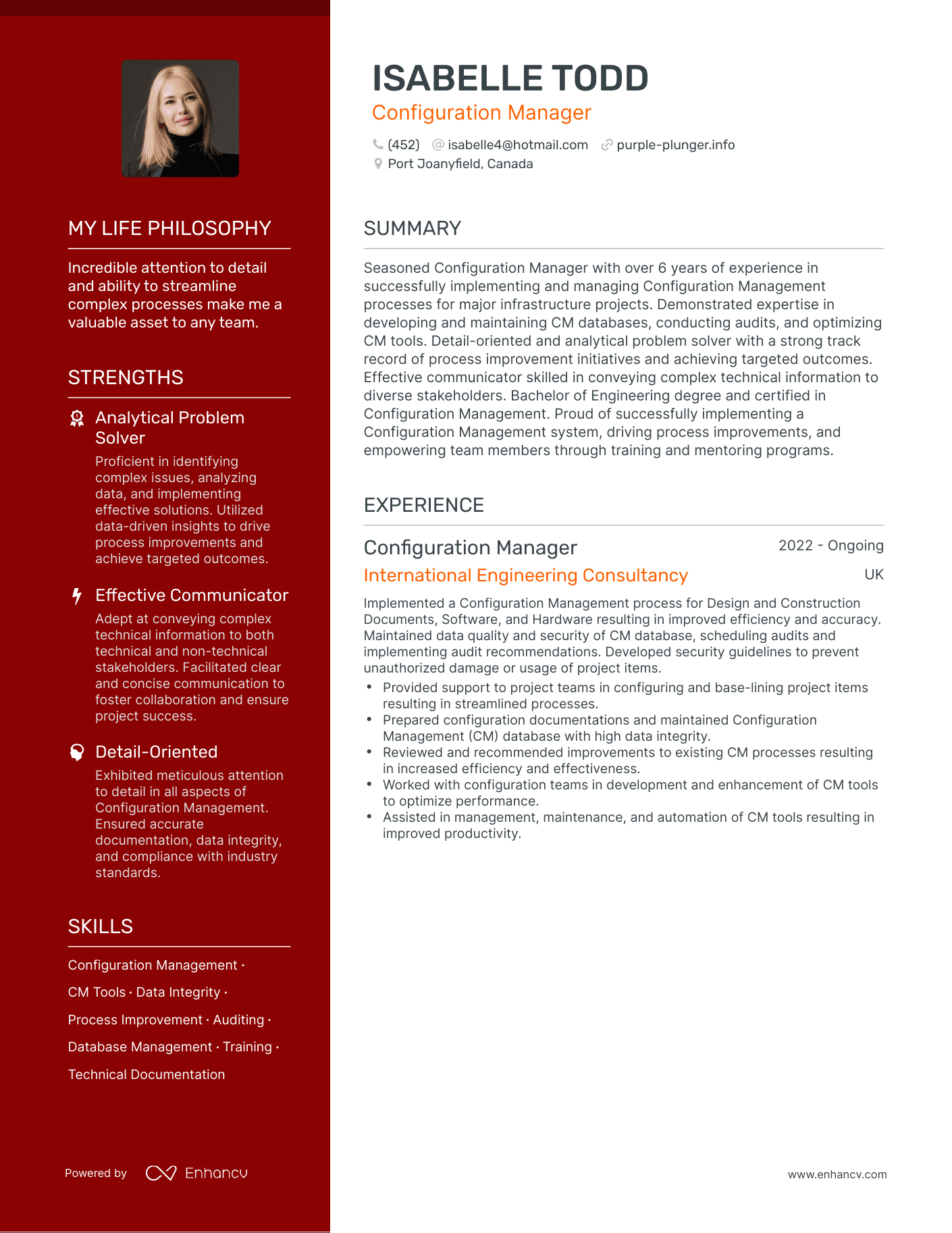 Creative Configuration Manager Resume Example