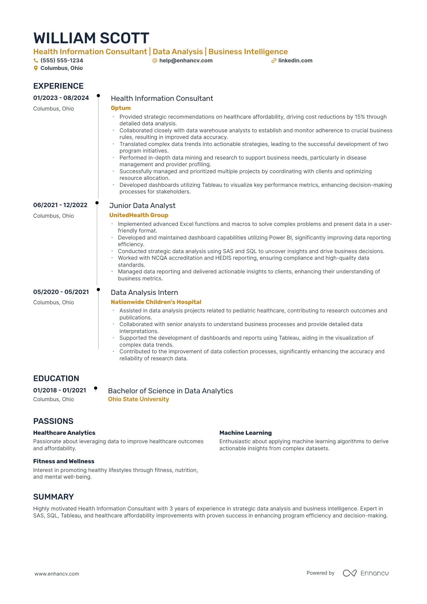 Excel Expert Consultant Resume Example Resume Example