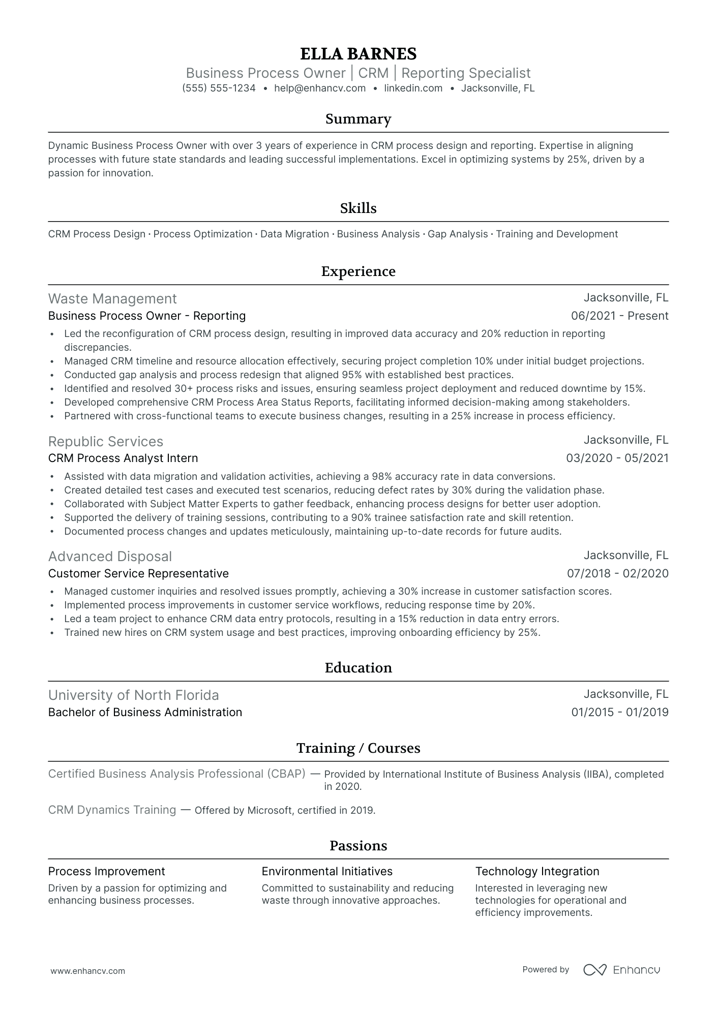 Business Owner Consultant resume example