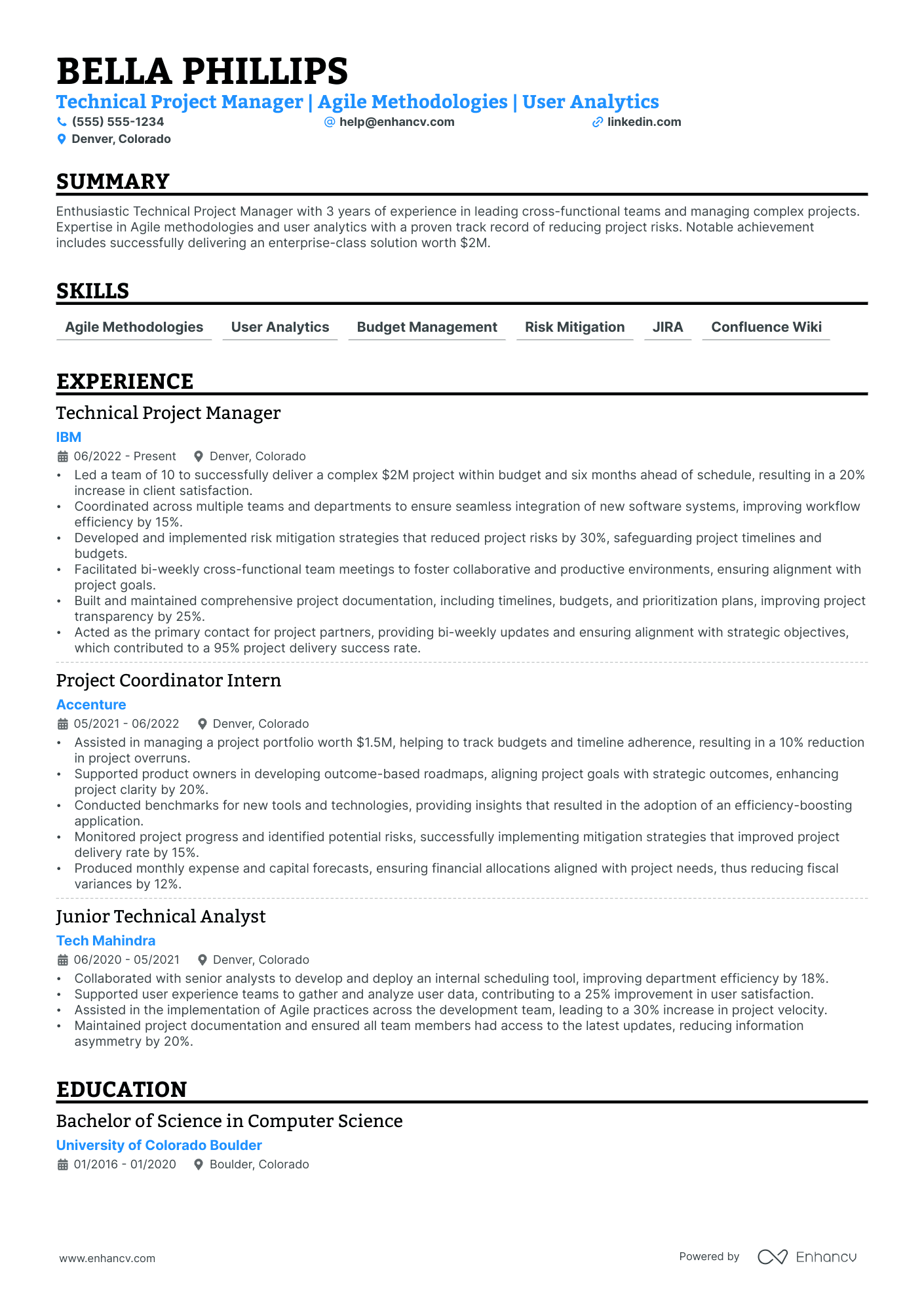 Lead Technical Project Manager resume example