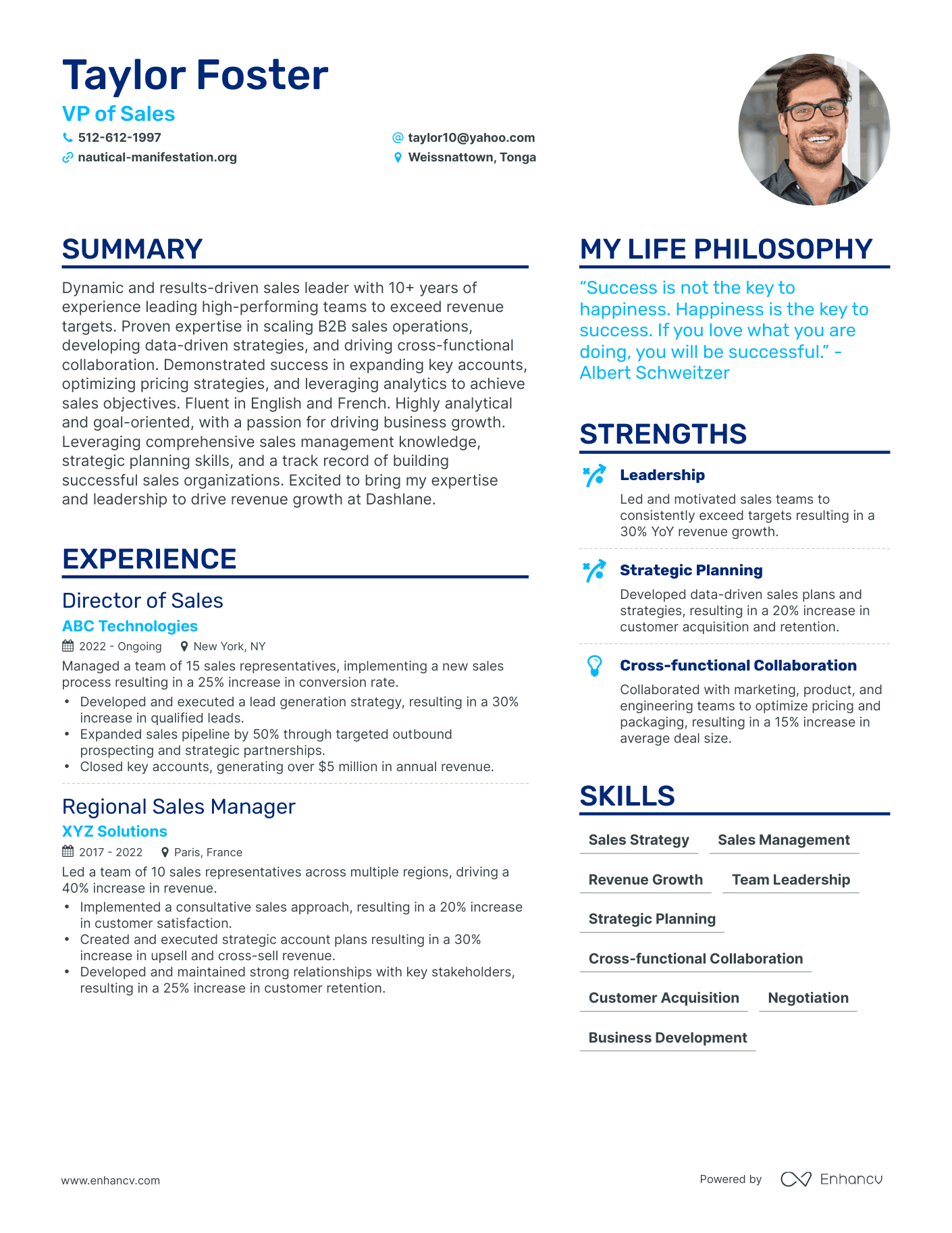 VP of Sales resume example