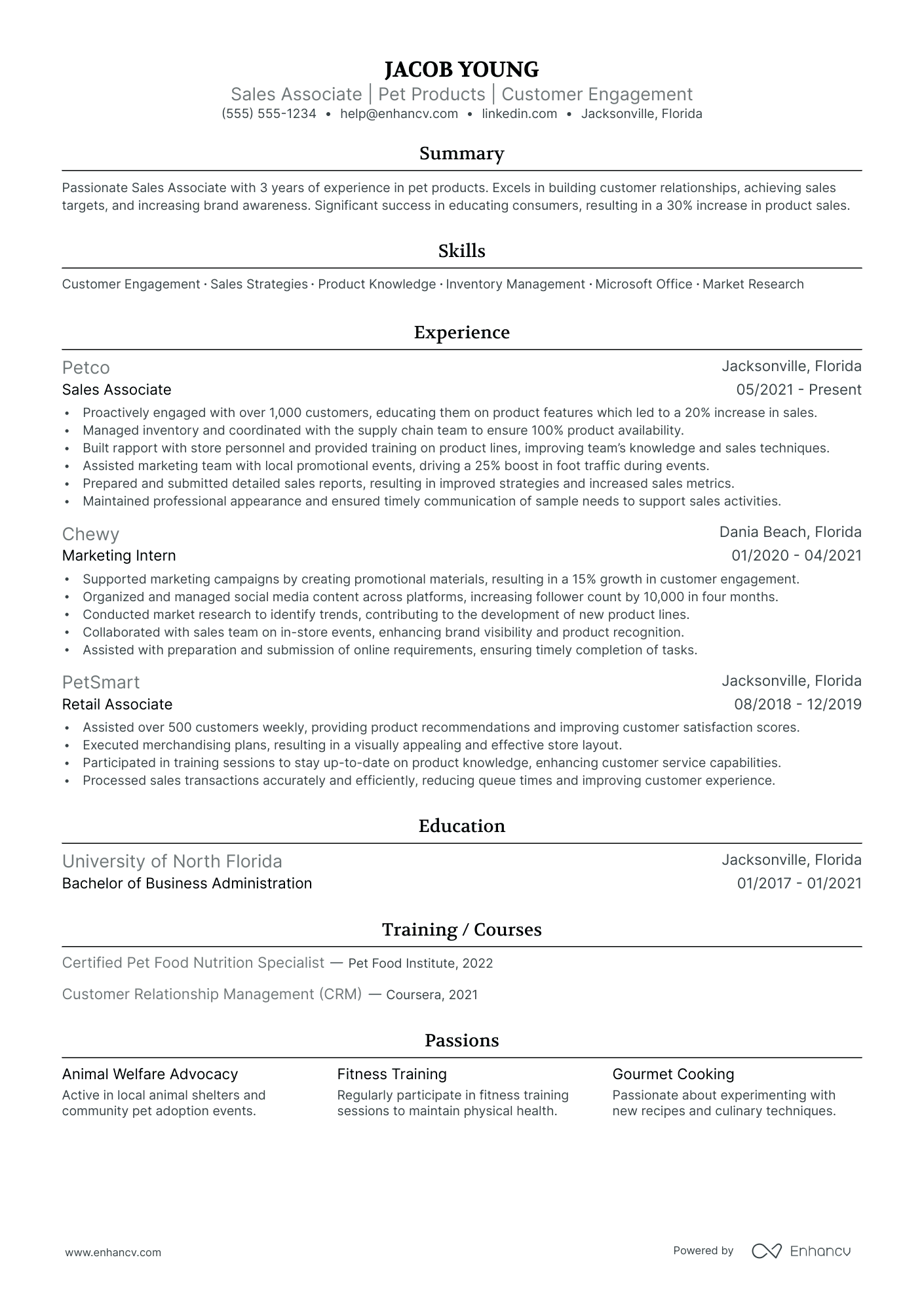 Online Brand Ambassador resume example