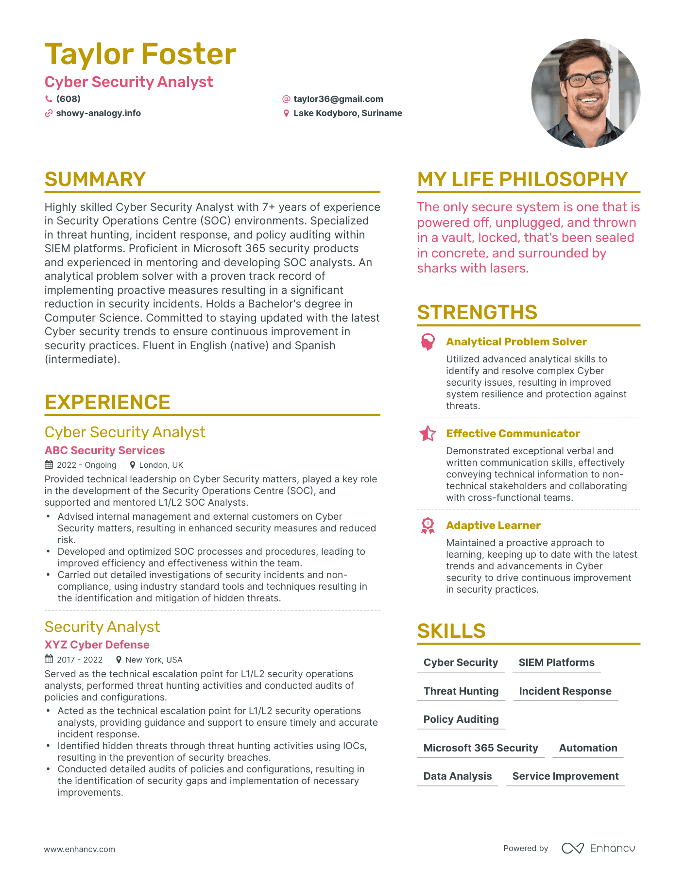 Cyber Security Analyst resume example