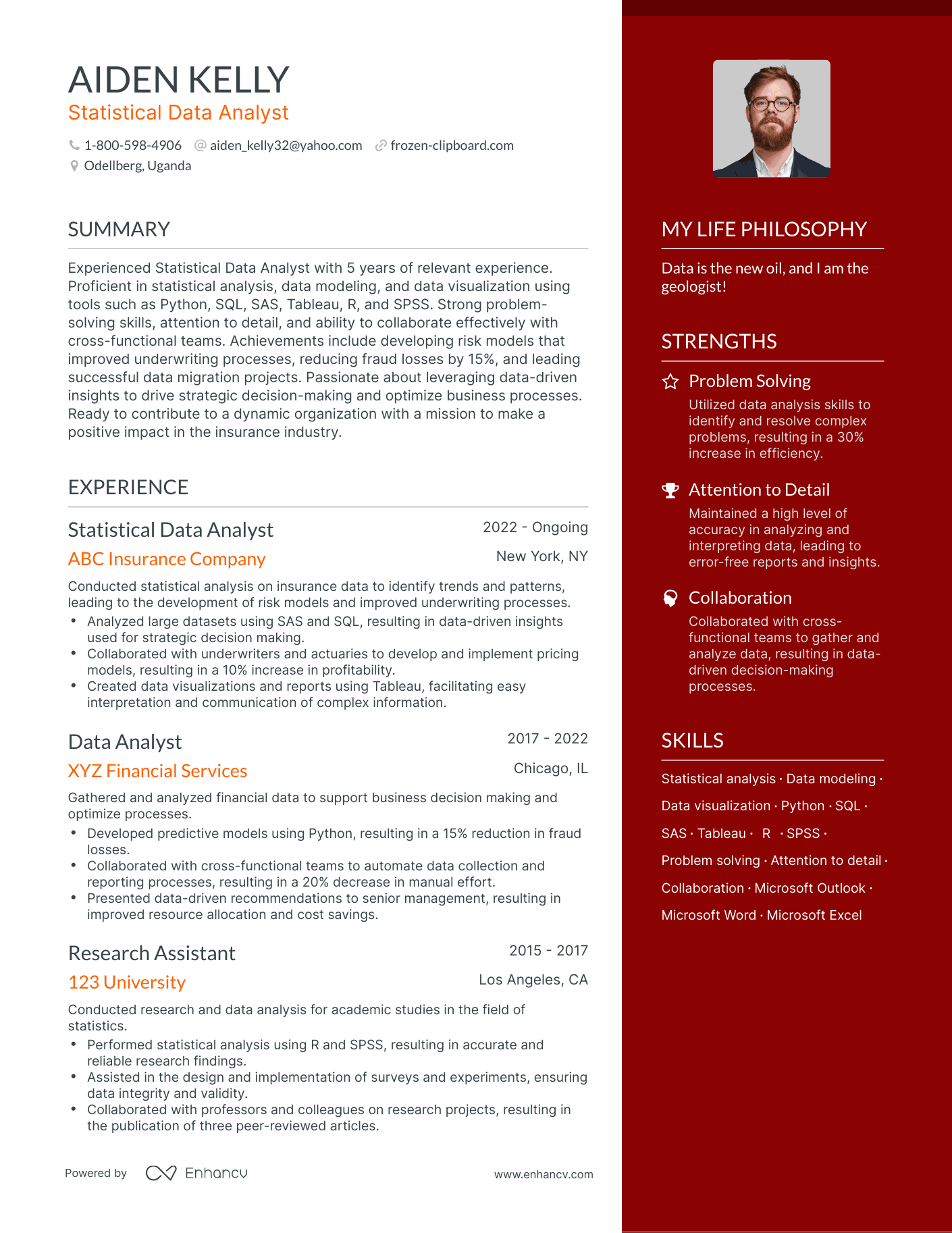 Statistical Data Analyst resume example