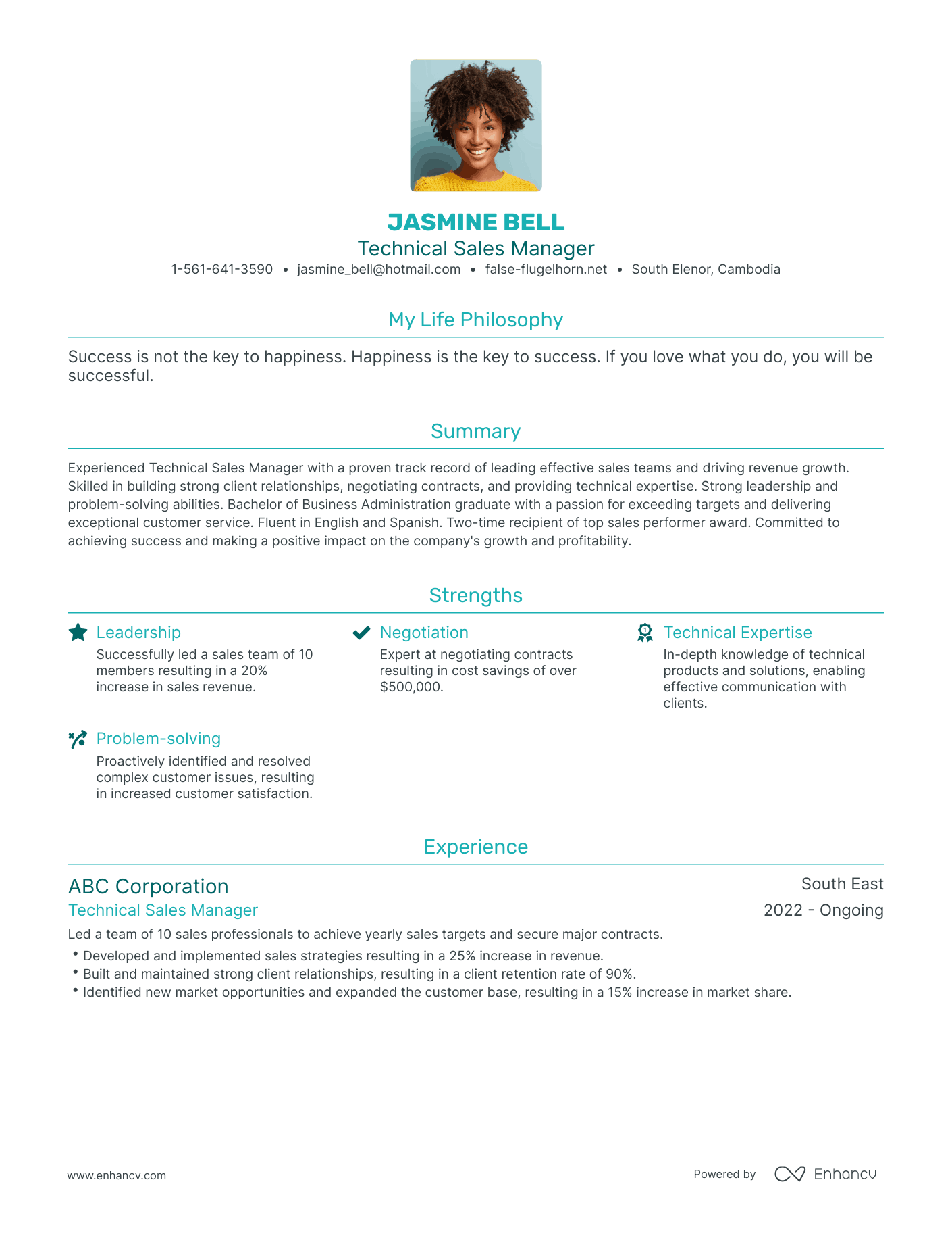 Modern Technical Sales Manager Resume Example