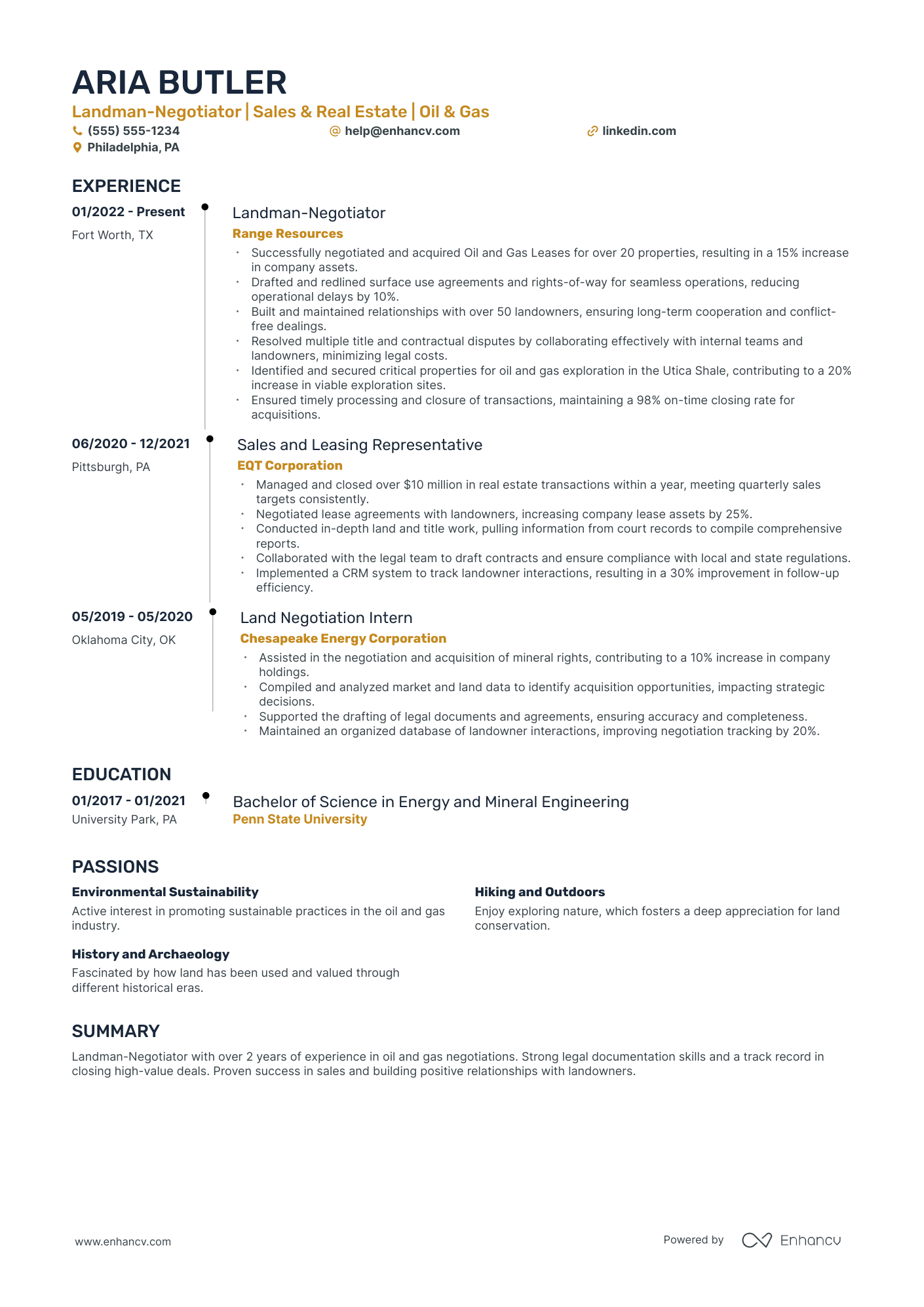 Luxury Homes Real Estate Agent resume example