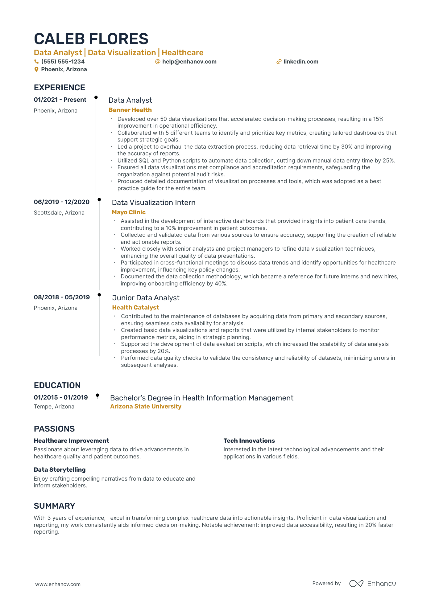 Data Visualization Analyst resume example