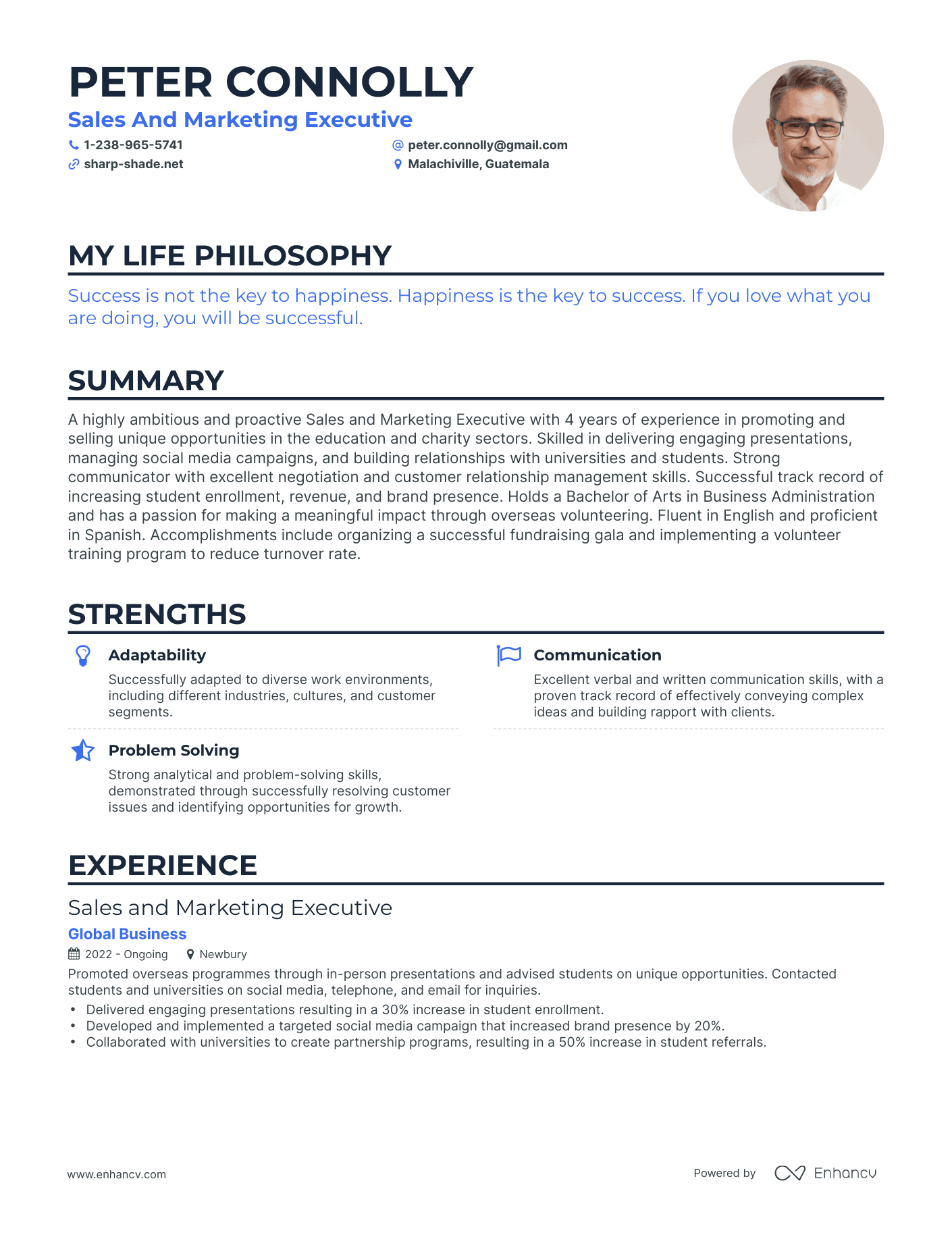 Creative Sales And Marketing Executive Resume Example