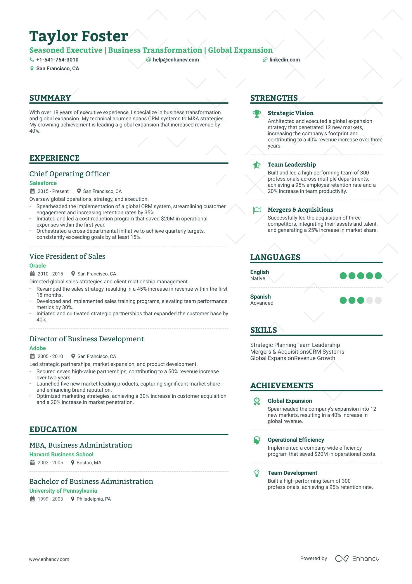 Chief Executive Officer resume example