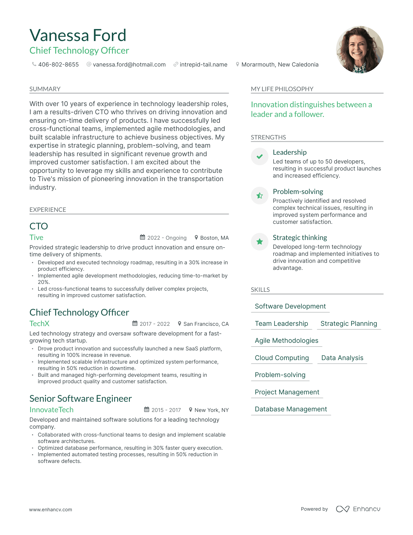 Modern Chief Technology Officer Resume Example