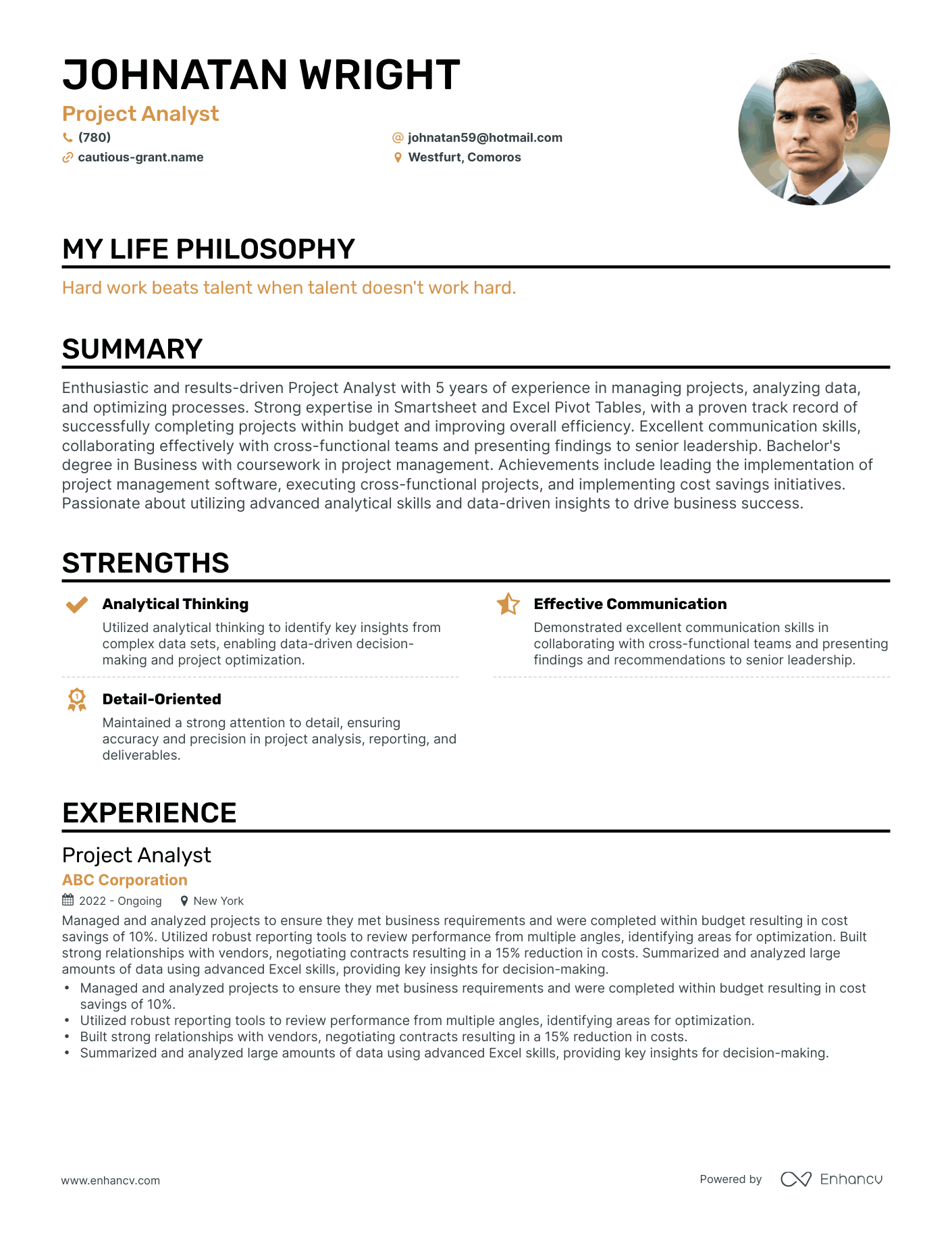 Creative Project Analyst Resume Example