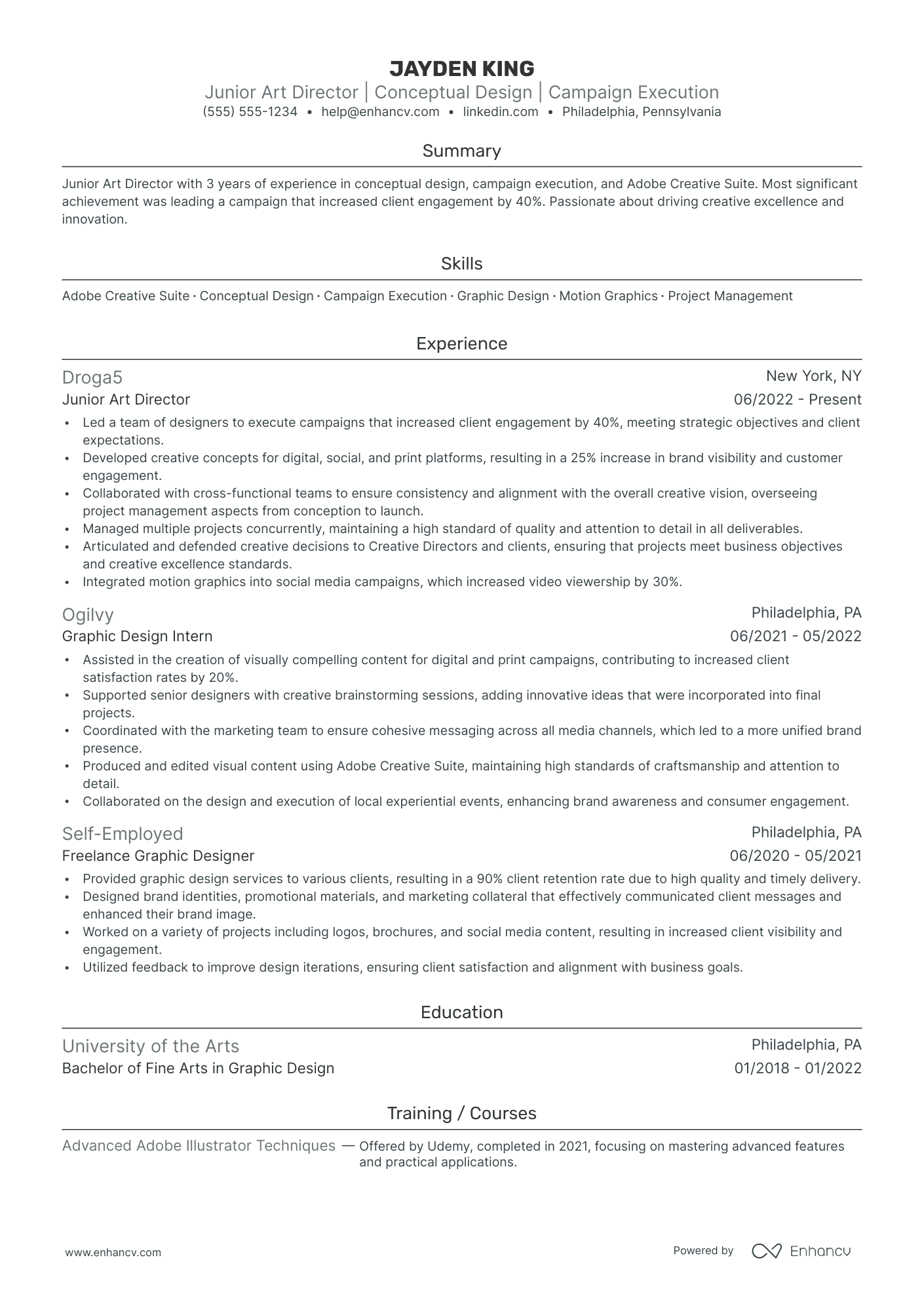 Senior Art Director resume example