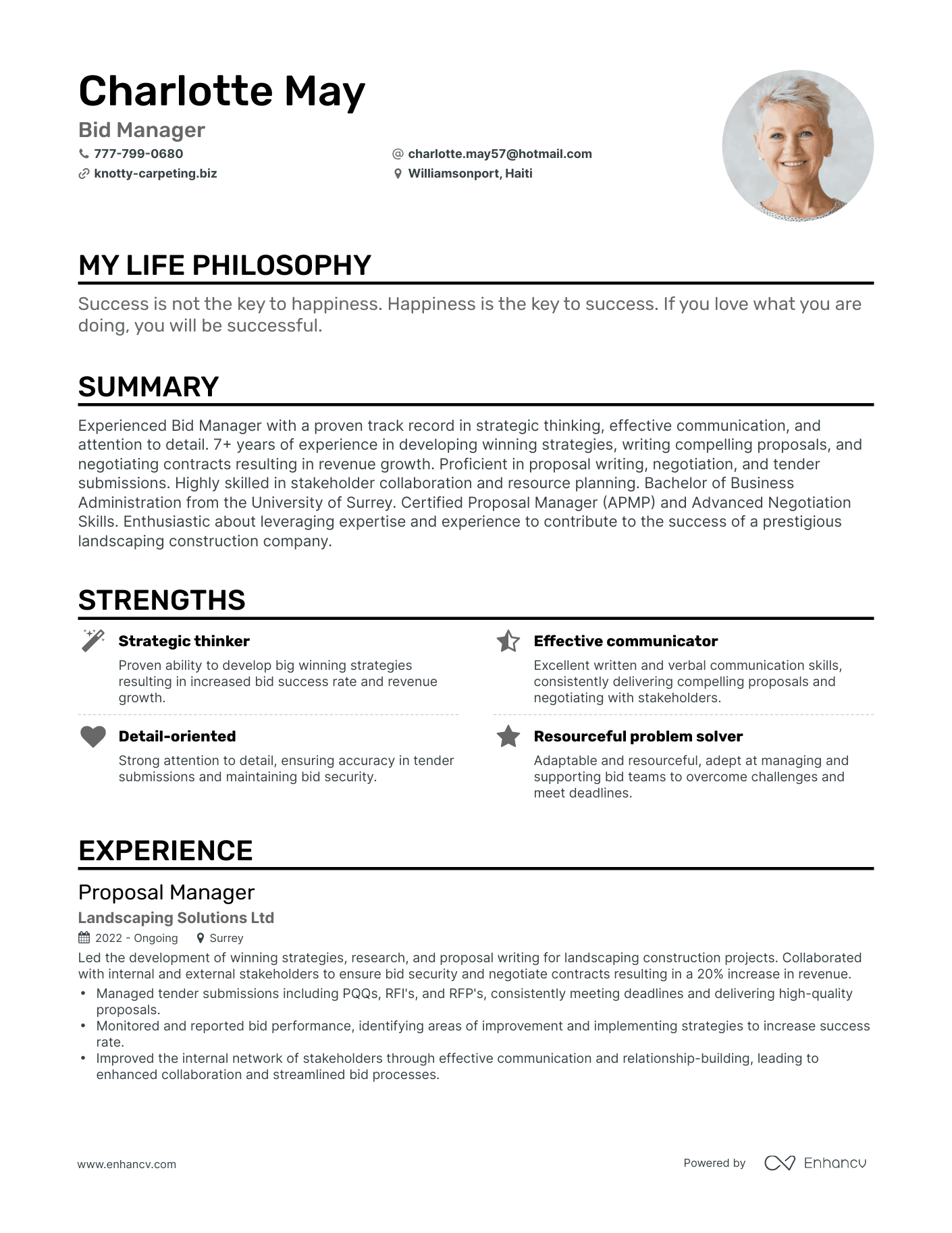 Creative Bid Manager Resume Example