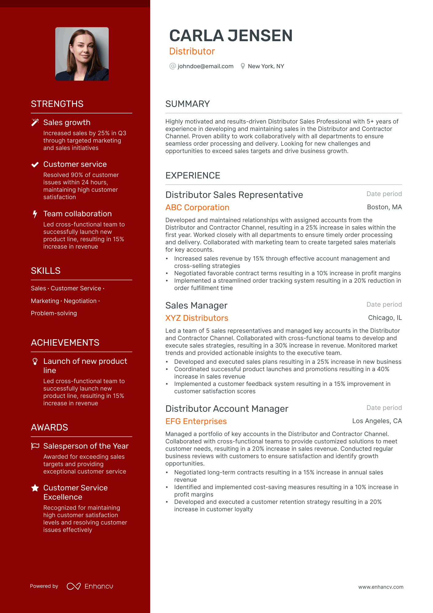 Distributor resume example