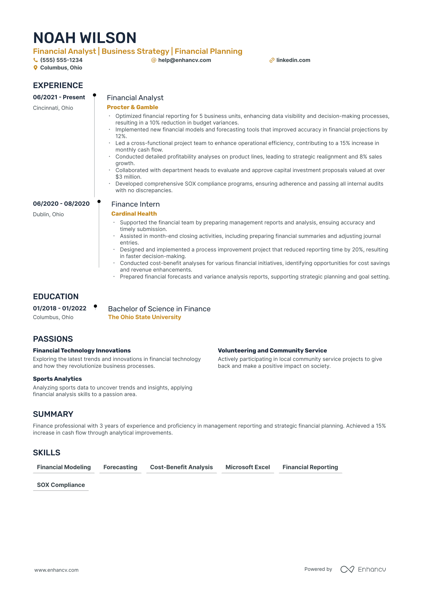 Global Finance Director Resume Example Resume Example