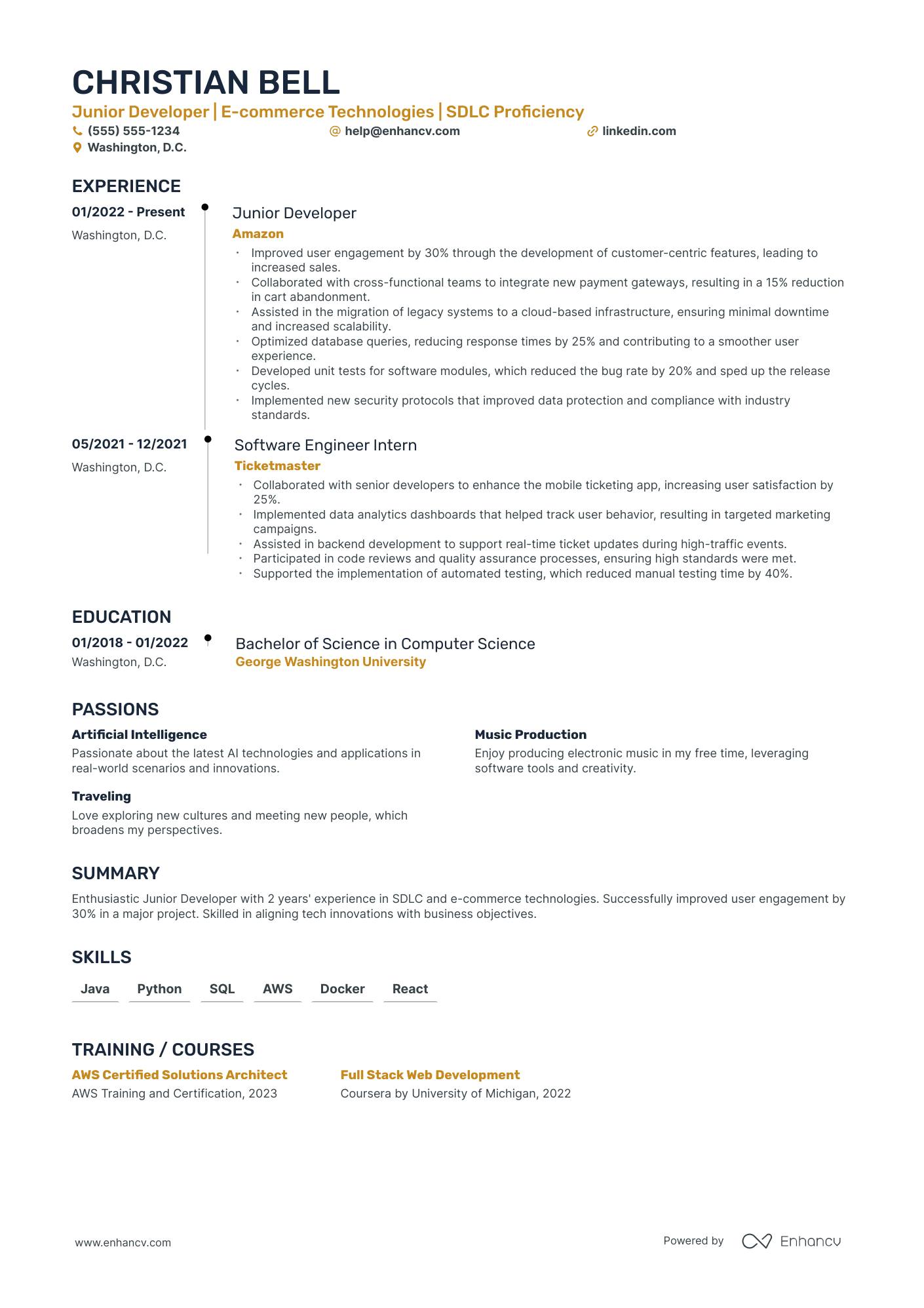 Chief Technology Innovation Officer resume example