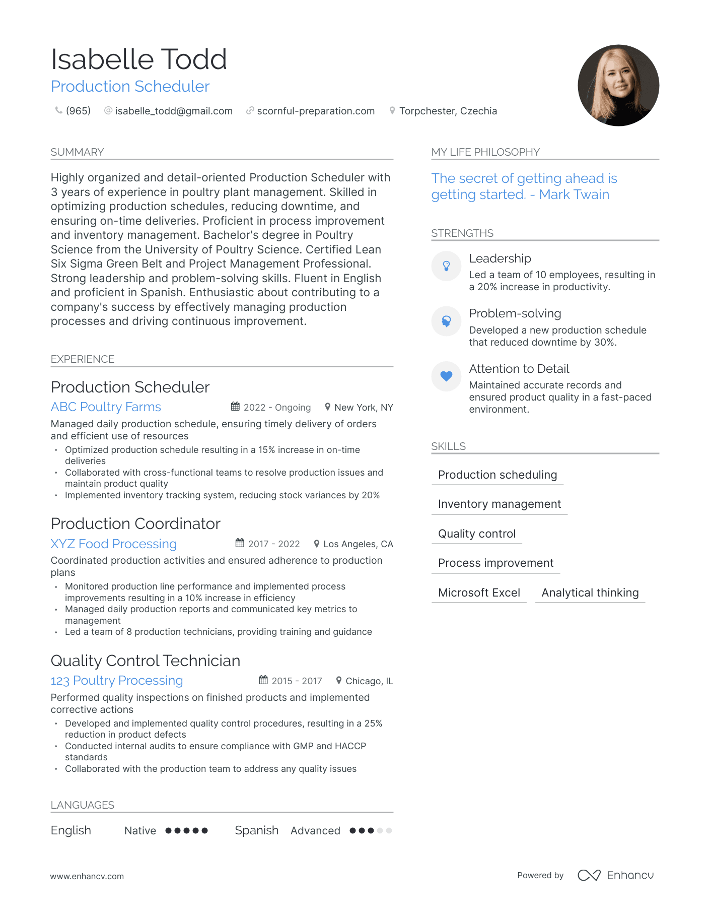 Production Scheduler resume example