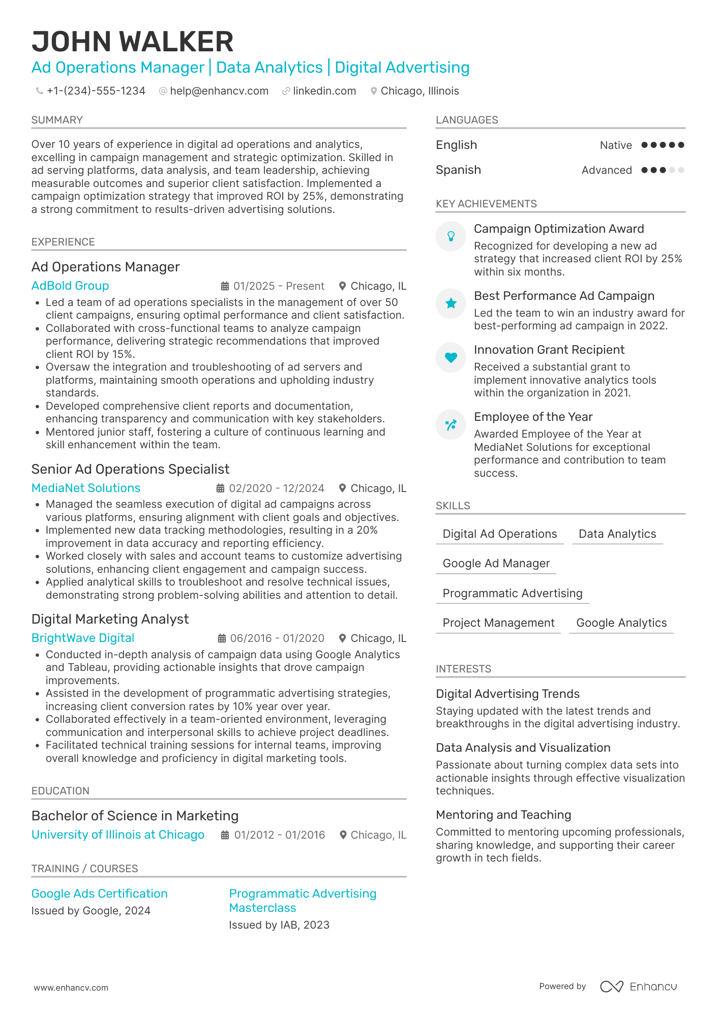 Ad Operations Manager resume example