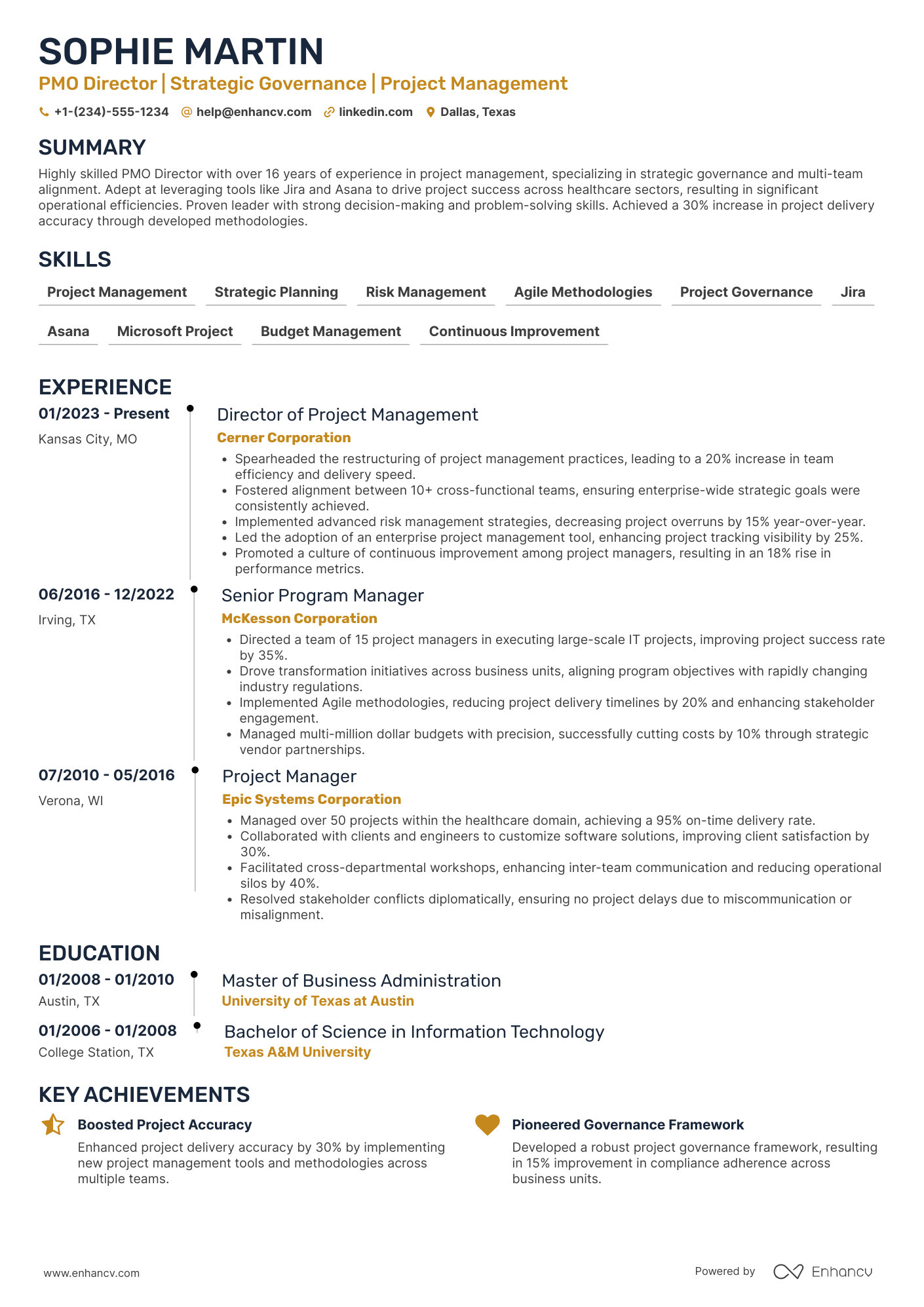 PMO Director resume example