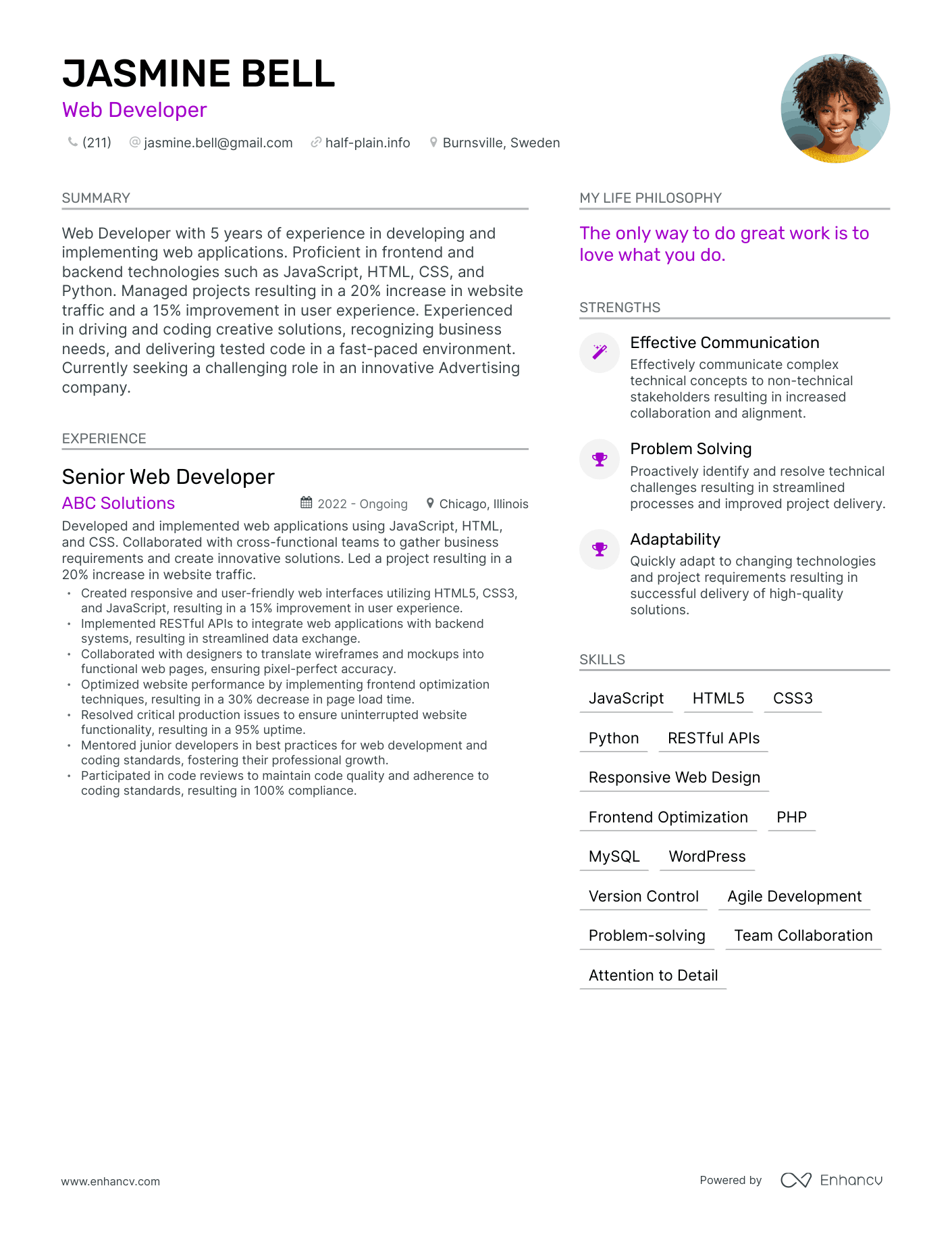 Web Developer  resume example