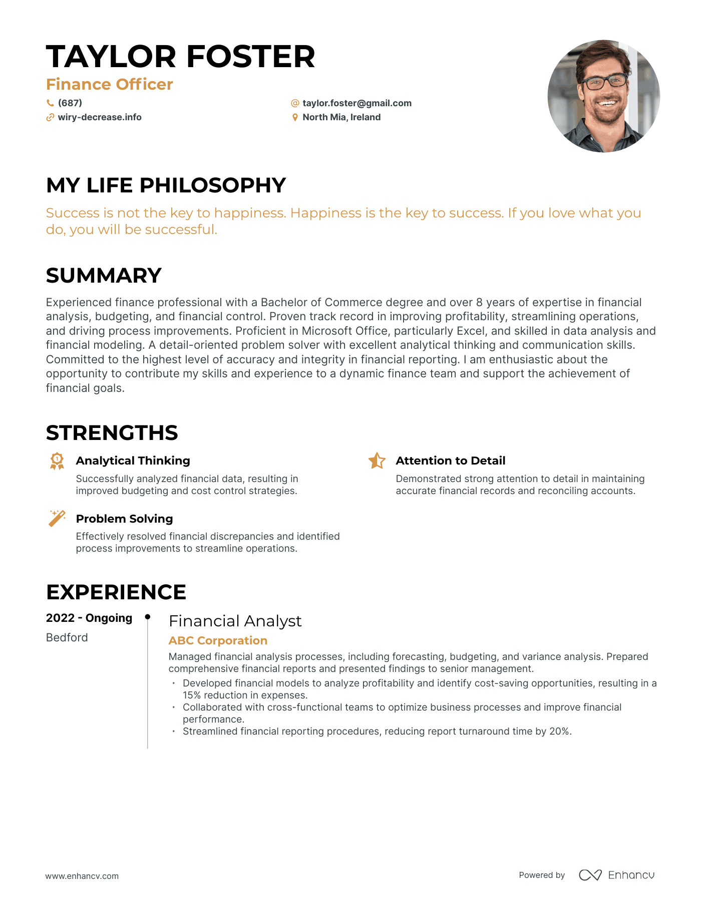Creative Finance Officer Resume Example