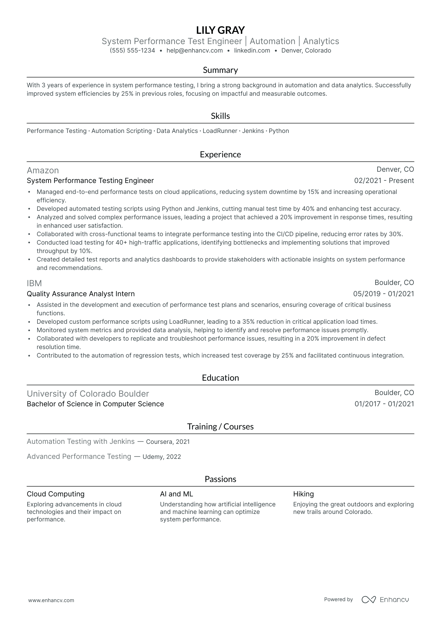 Manual Performance Tester resume example