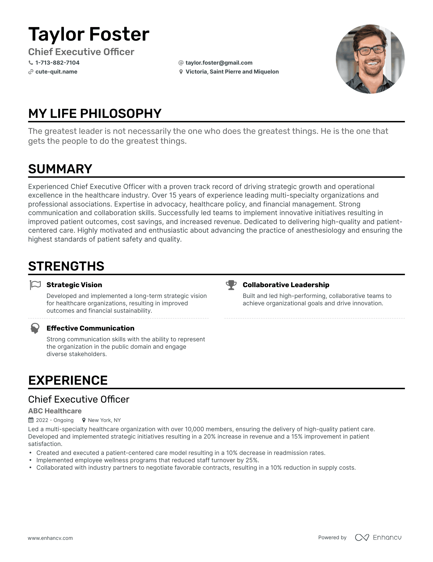 Creative Chief Executive Officer Resume Example