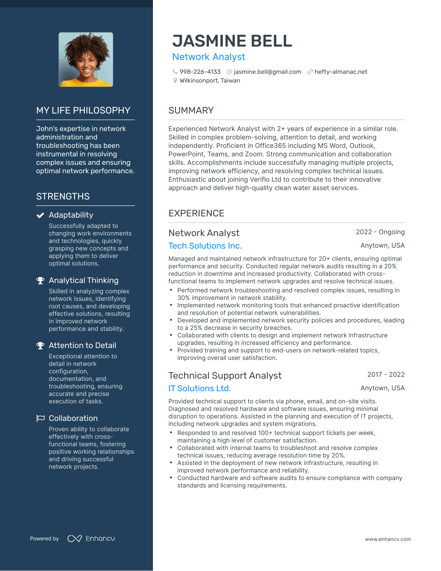 Network Analyst resume example