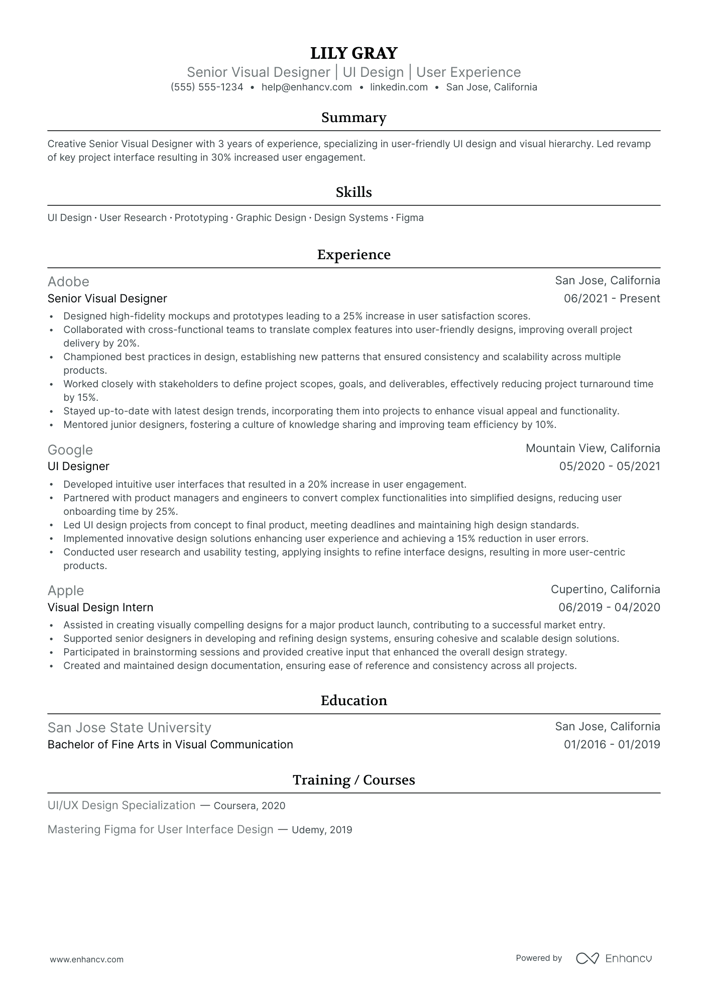 Senior Visual Designer resume example