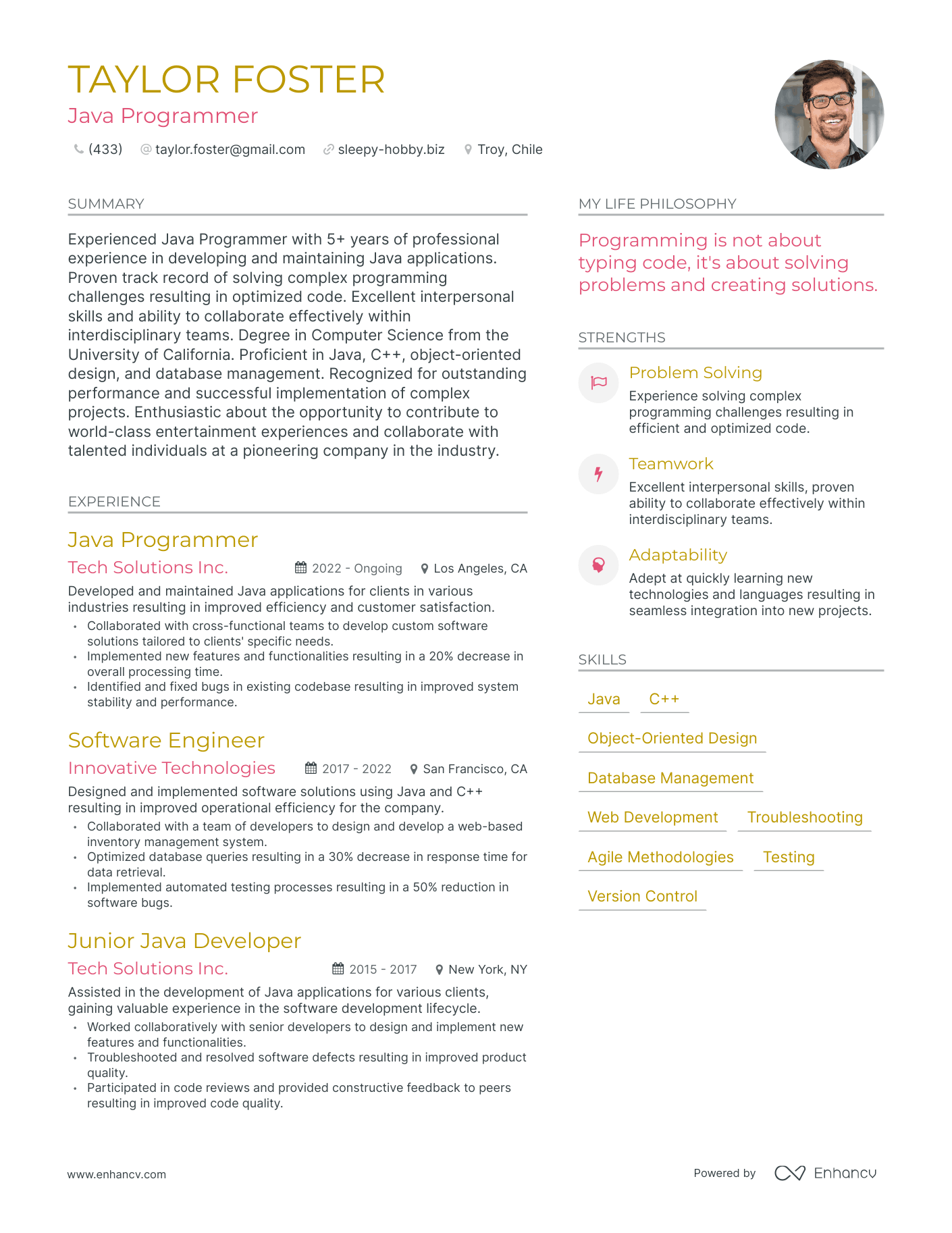 Java Programmer resume example