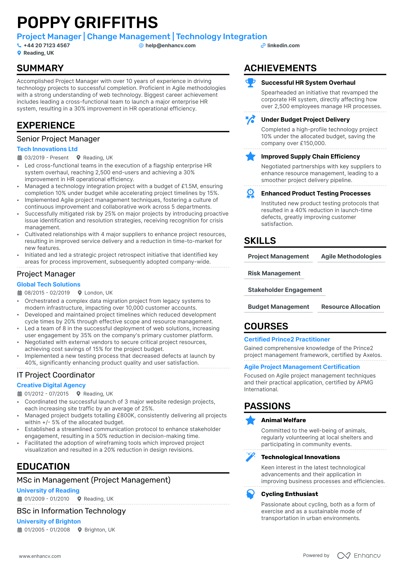 Project Manager CV