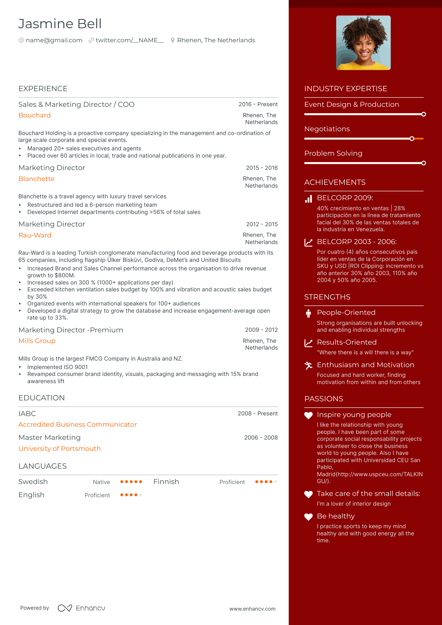 vp marketing resume example