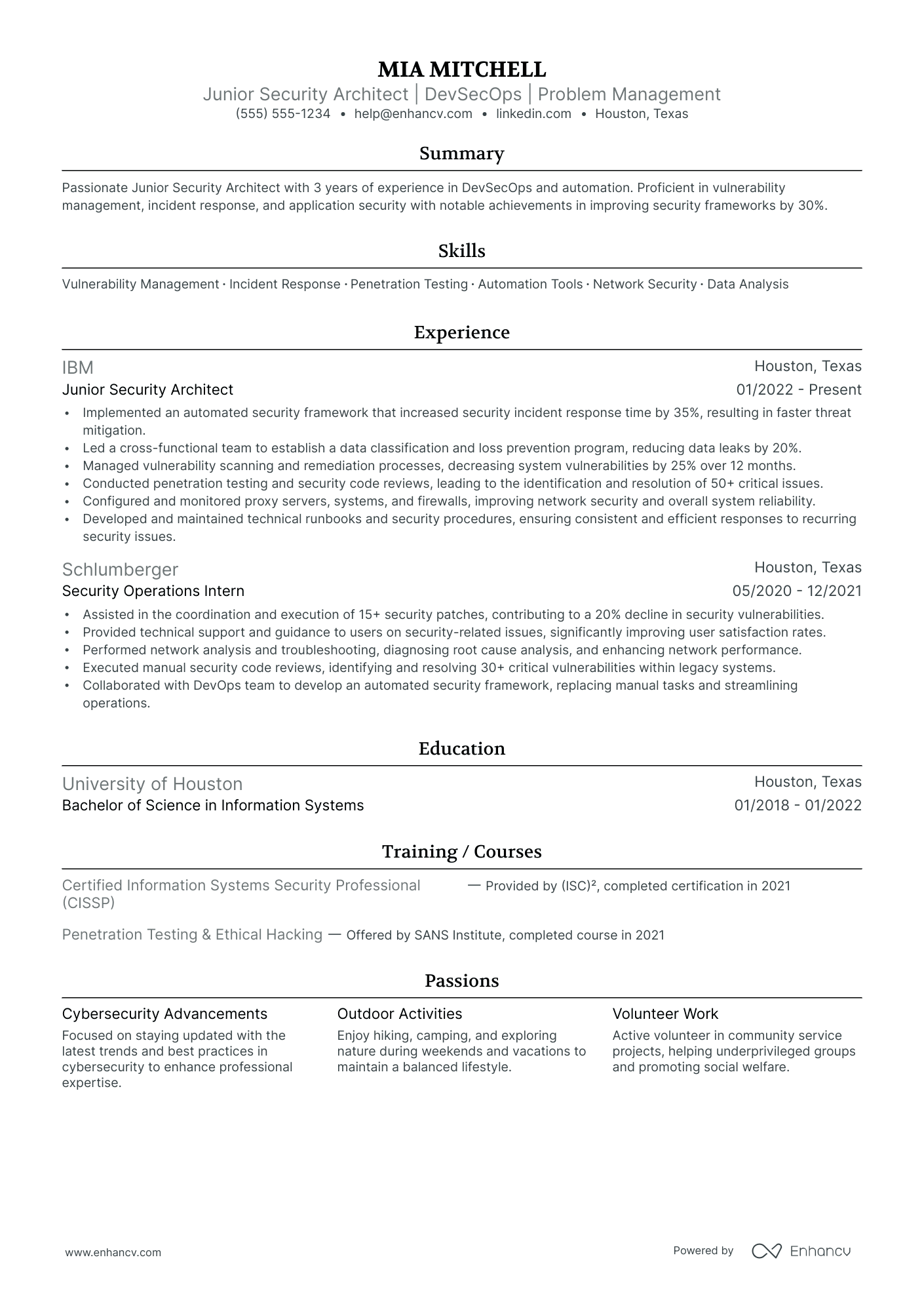 Business Solutions Architect resume example