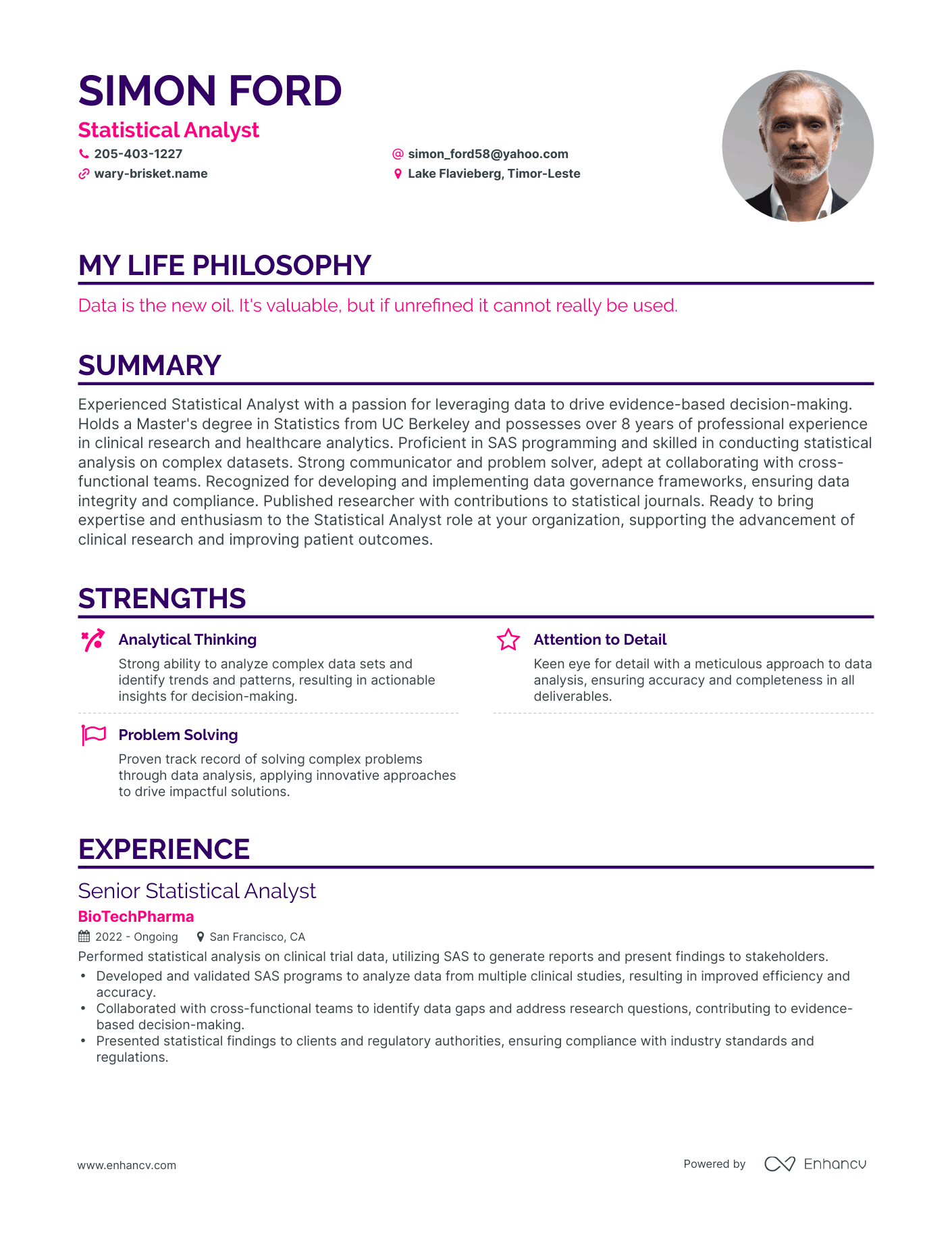Creative Statistical Analyst Resume Example