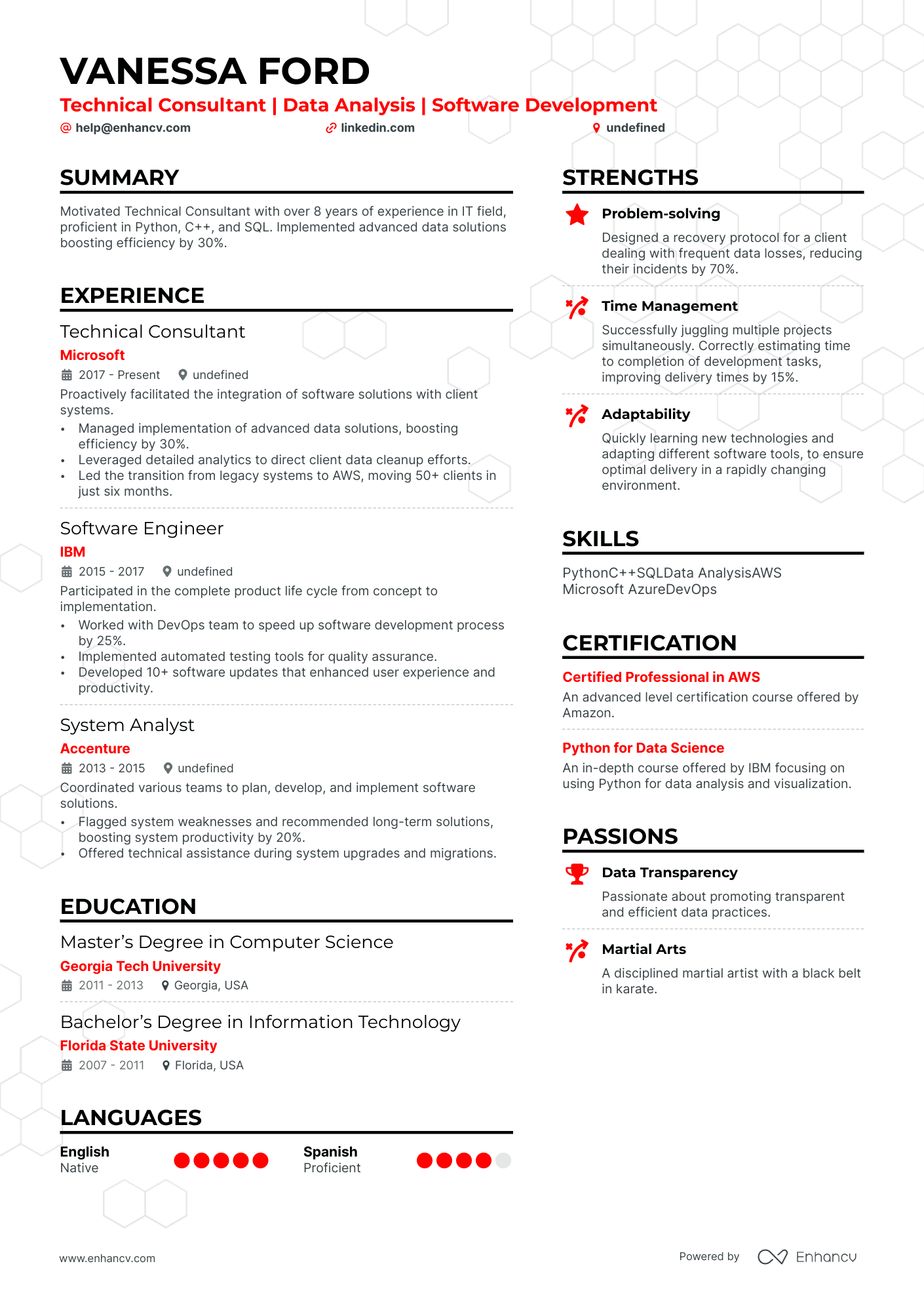 Technical Consultant resume example