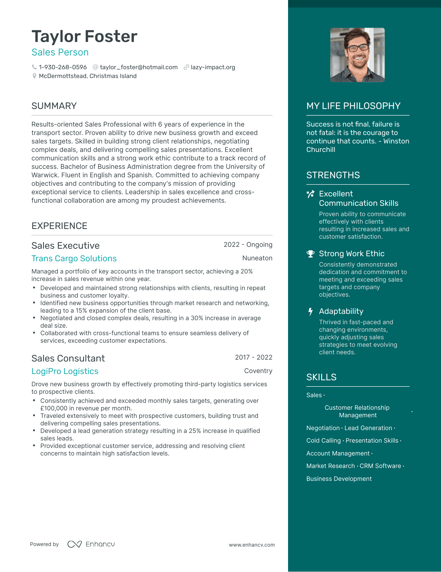 Modern Sales Person Resume Example
