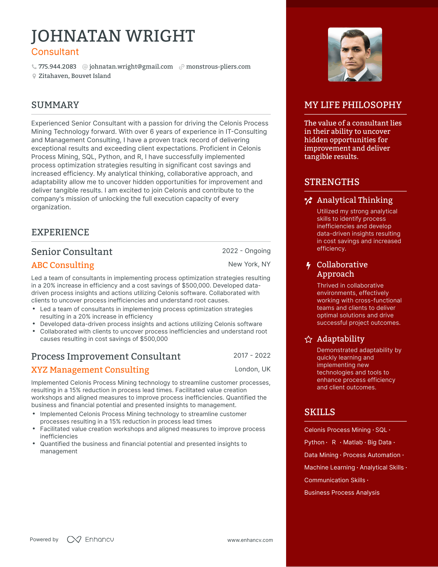 Consultant resume example