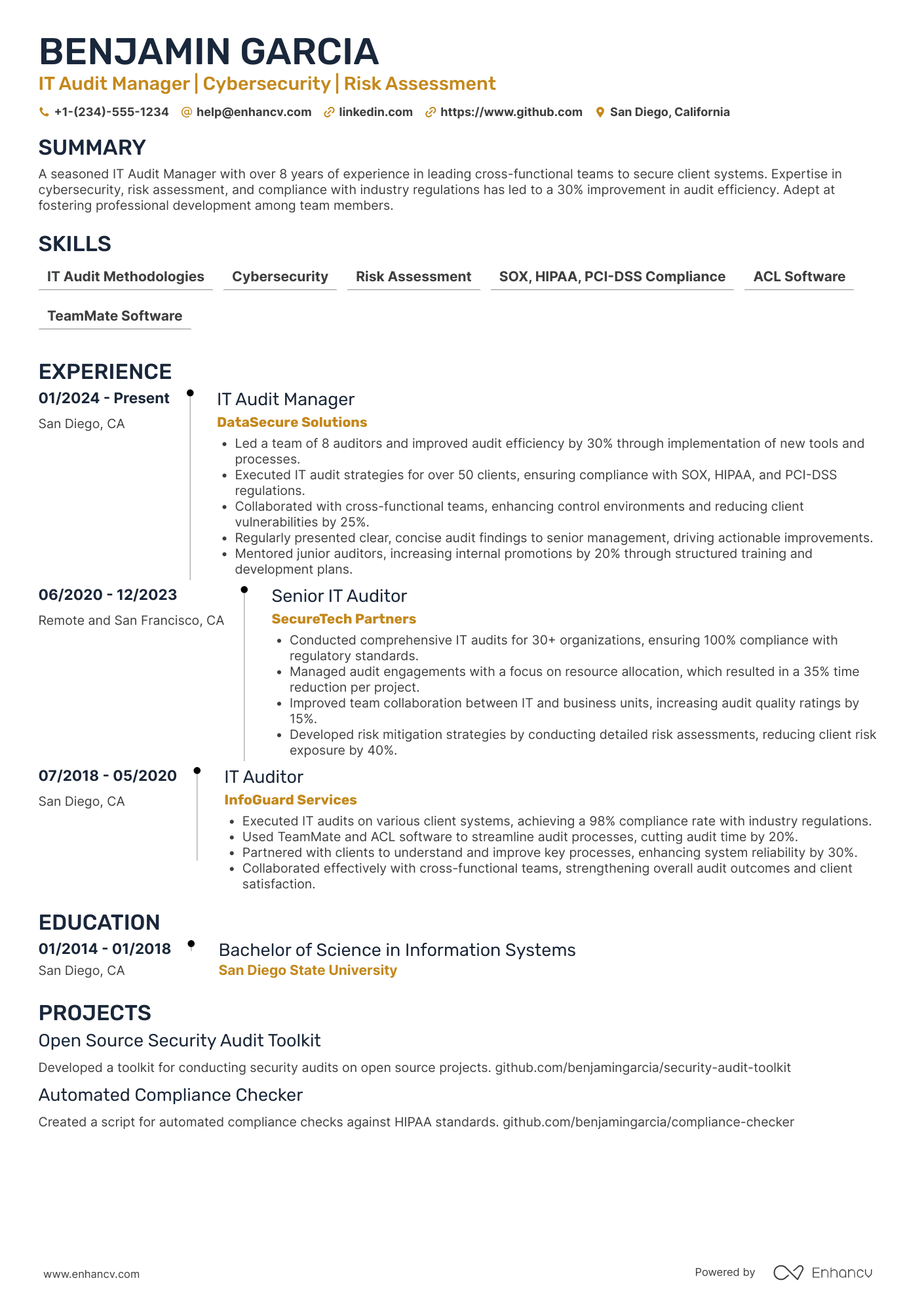 IT Audit Manager resume example