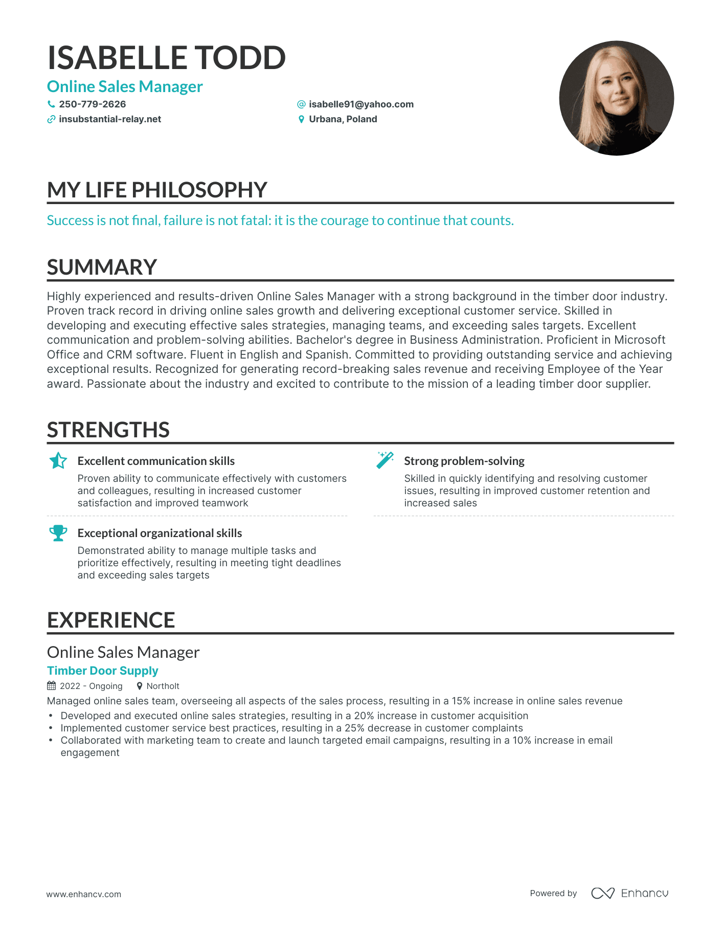 Creative Online Sales Manager Resume Example