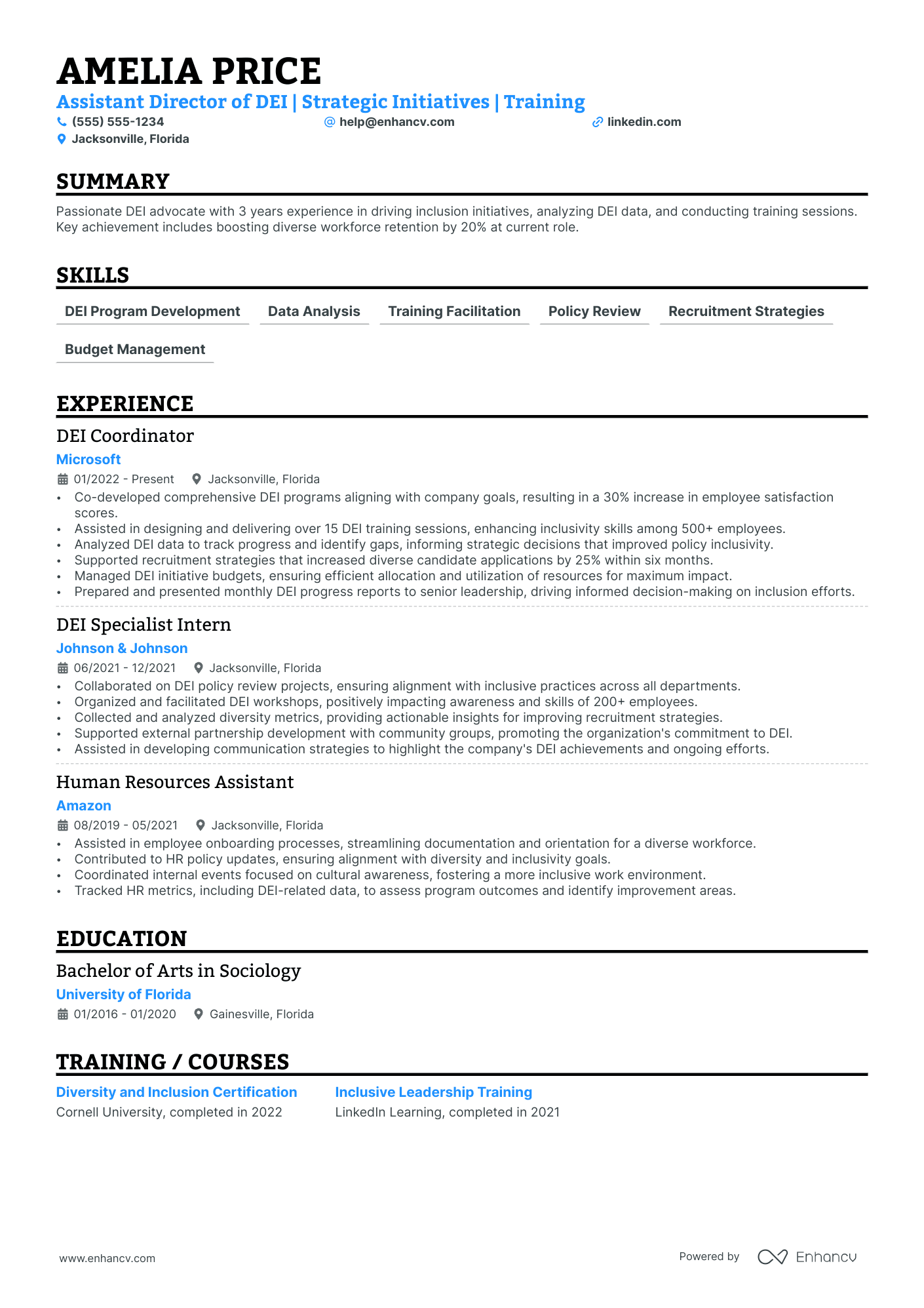 HR Director - Diversity and Inclusion Resume Example Resume Example