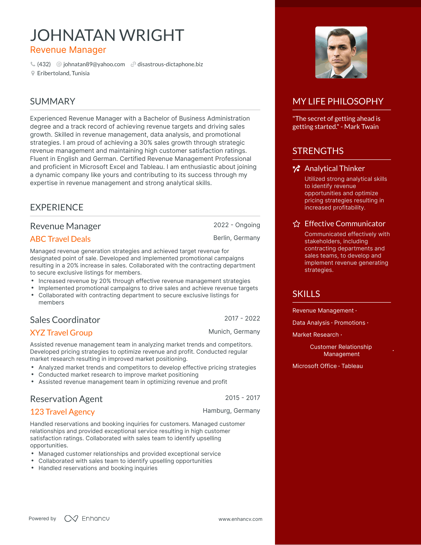 Revenue Manager resume example