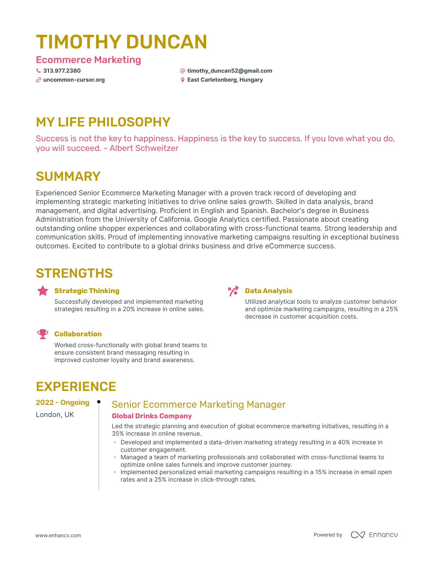 Creative Ecommerce Marketing Resume Example