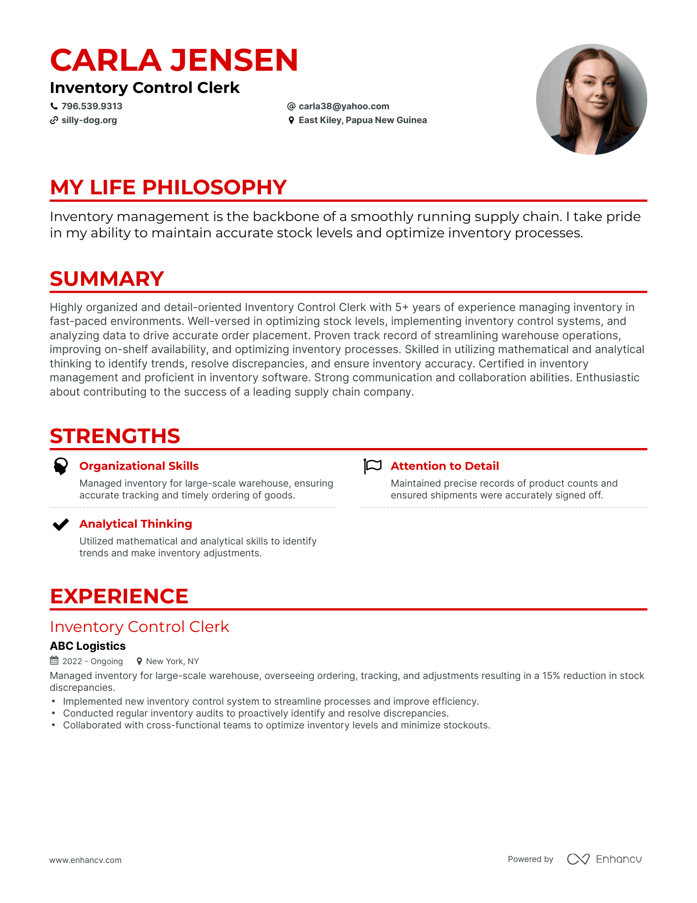 Creative Inventory Control Clerk Resume Example