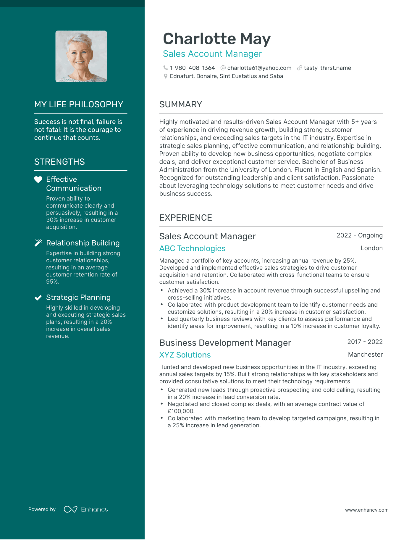 Creative Sales Account Manager Resume Example