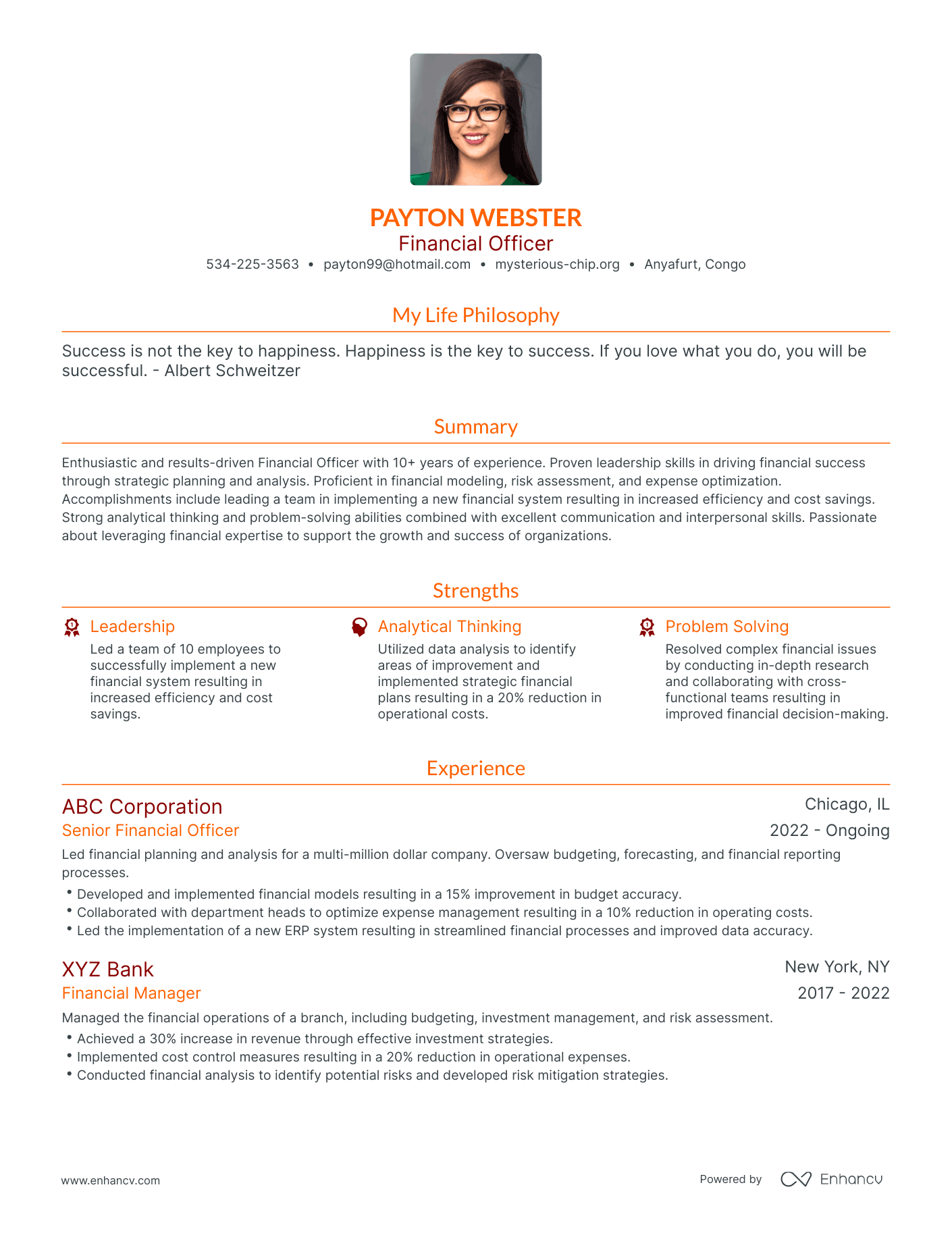 Modern Financial Officer Resume Example