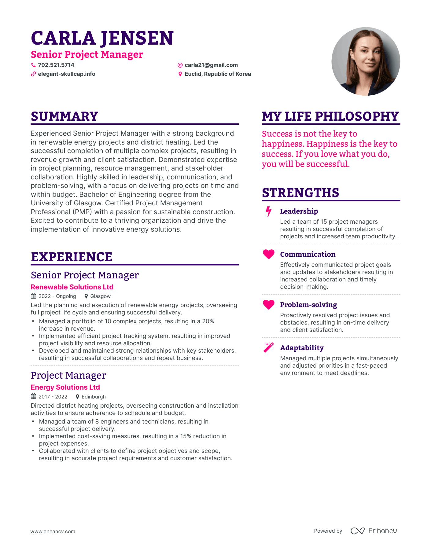 Senior Project Manager resume example