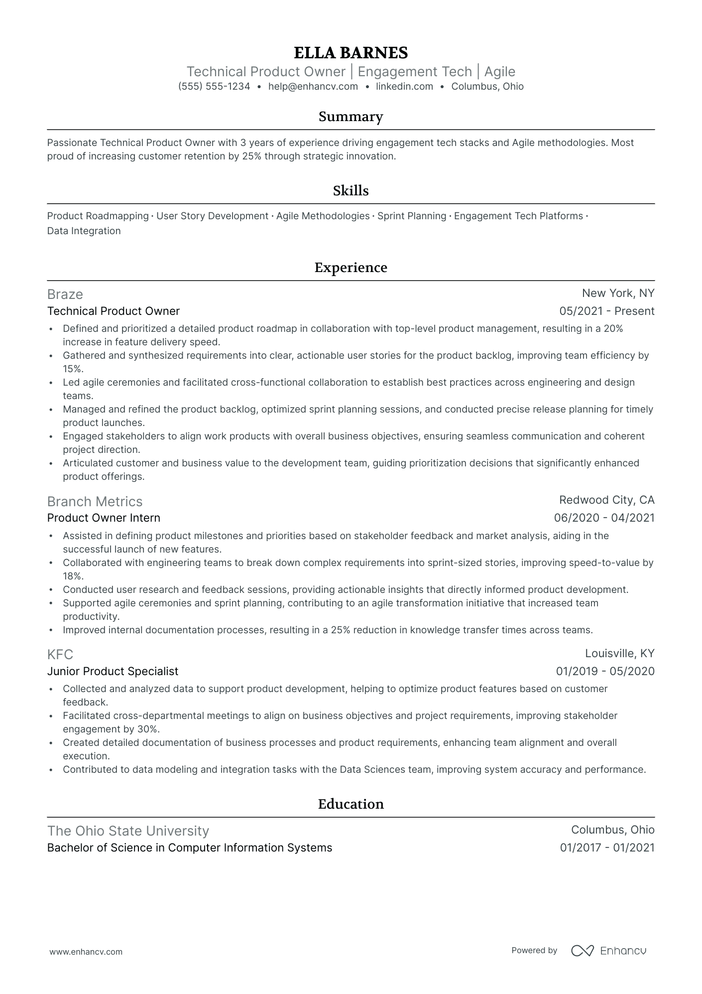 Technical Product Owner Resume Example Resume Example